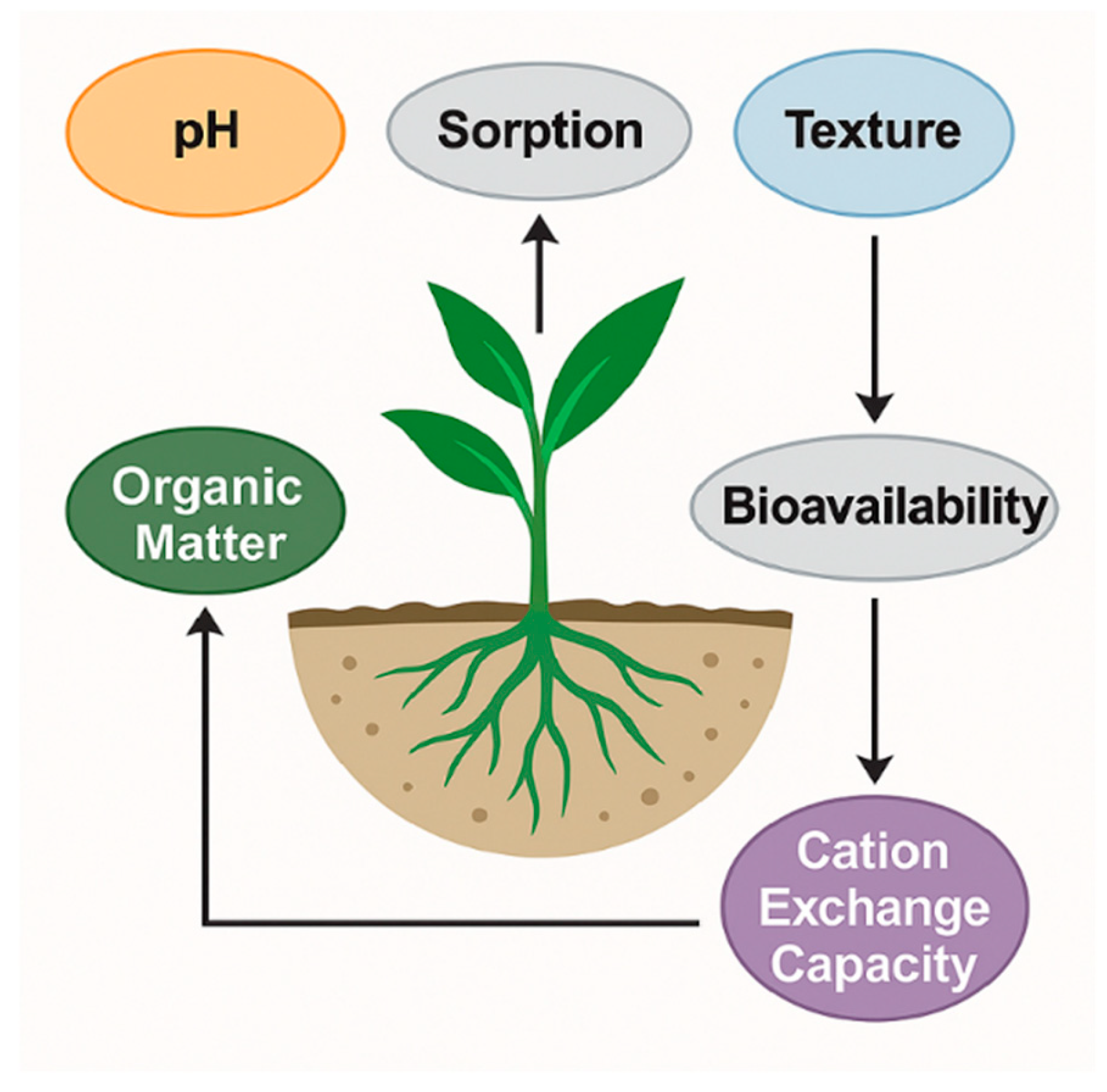 Plants 14 03835 g005
