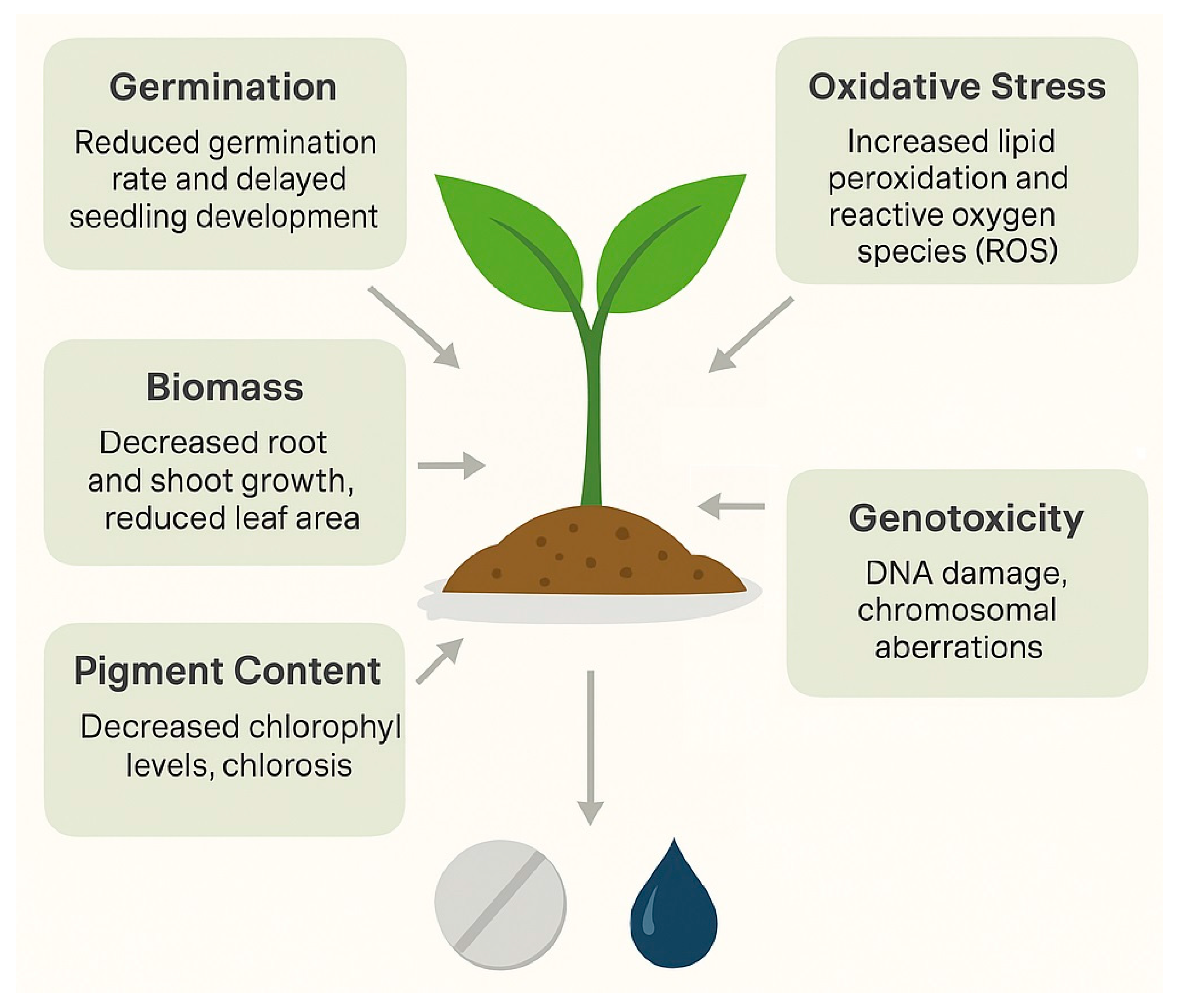 Plants 14 03835 g008