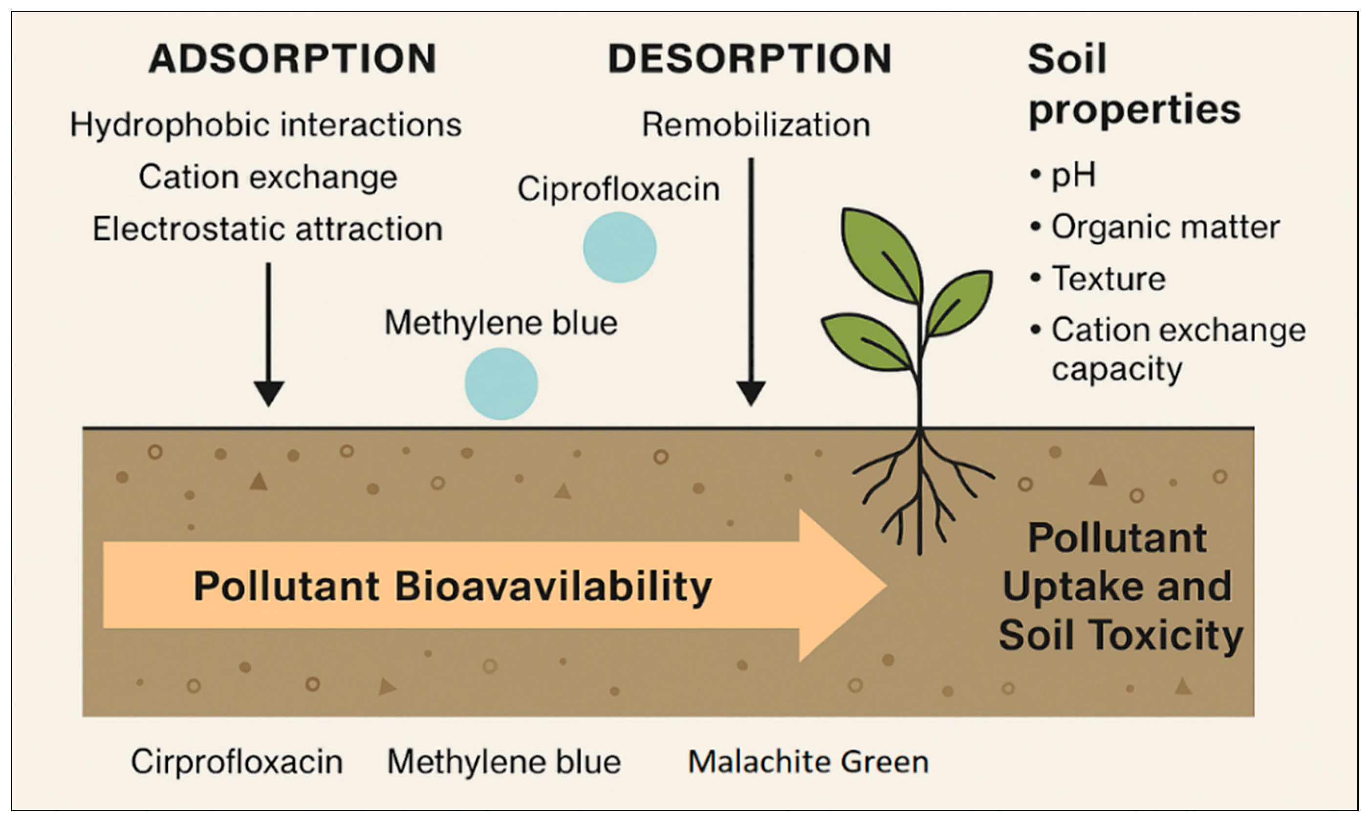 Plants 14 03835 g009