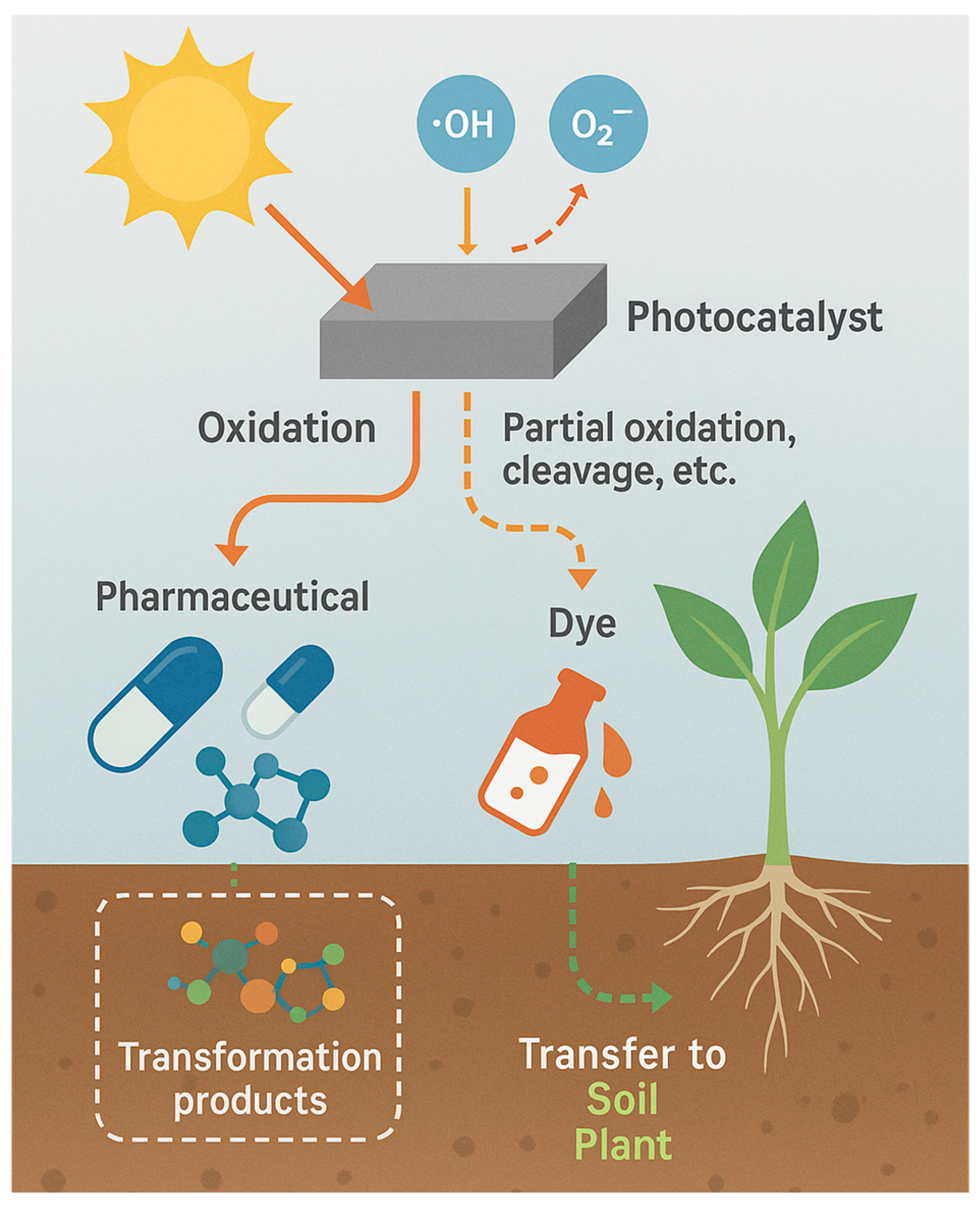 Plants 14 03835 g012