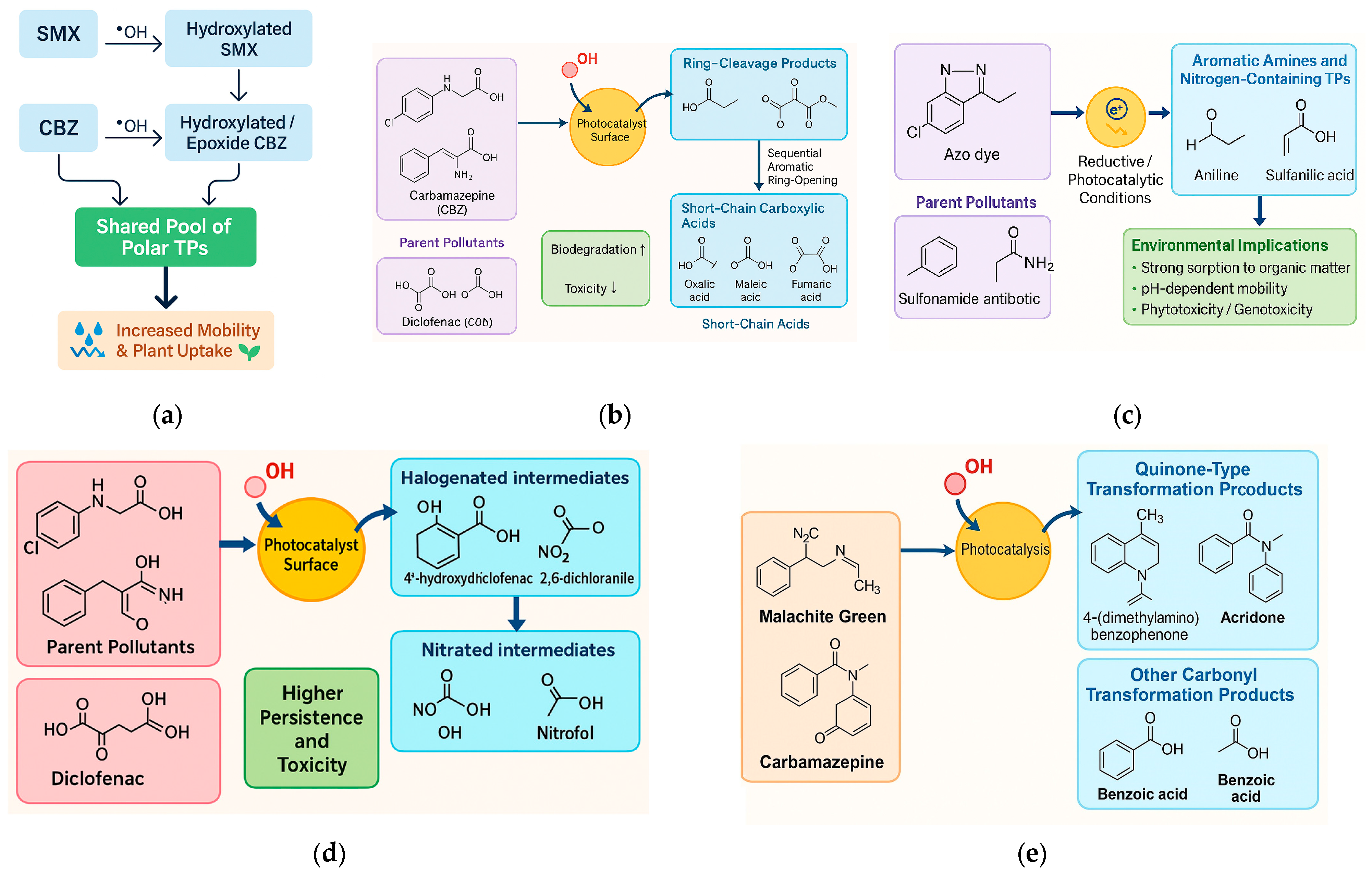 Plants 14 03835 g013