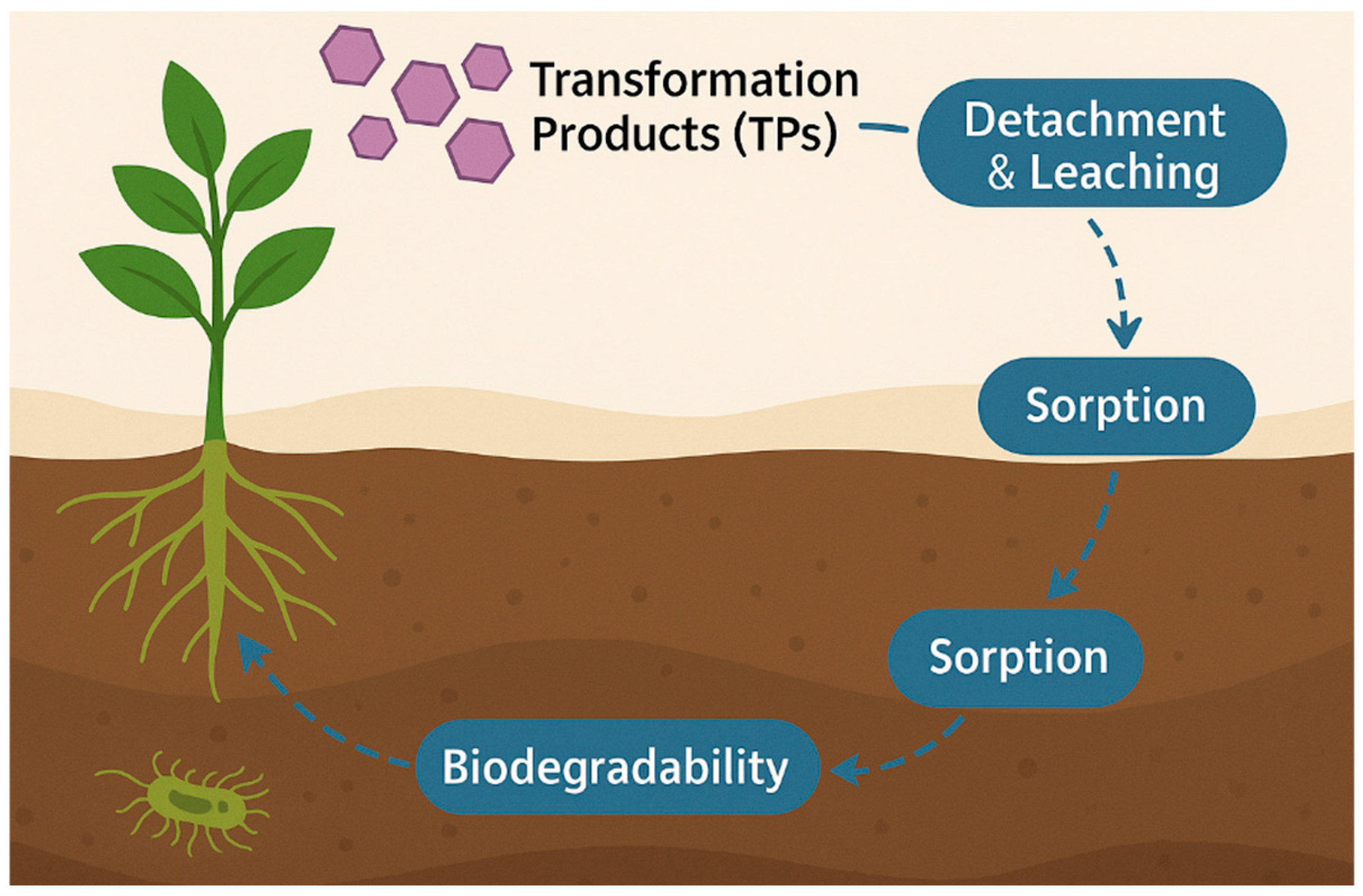 Plants 14 03835 g014