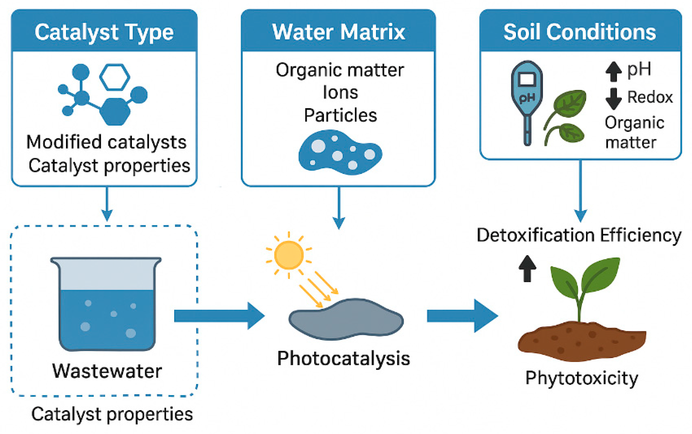 Plants 14 03835 g015