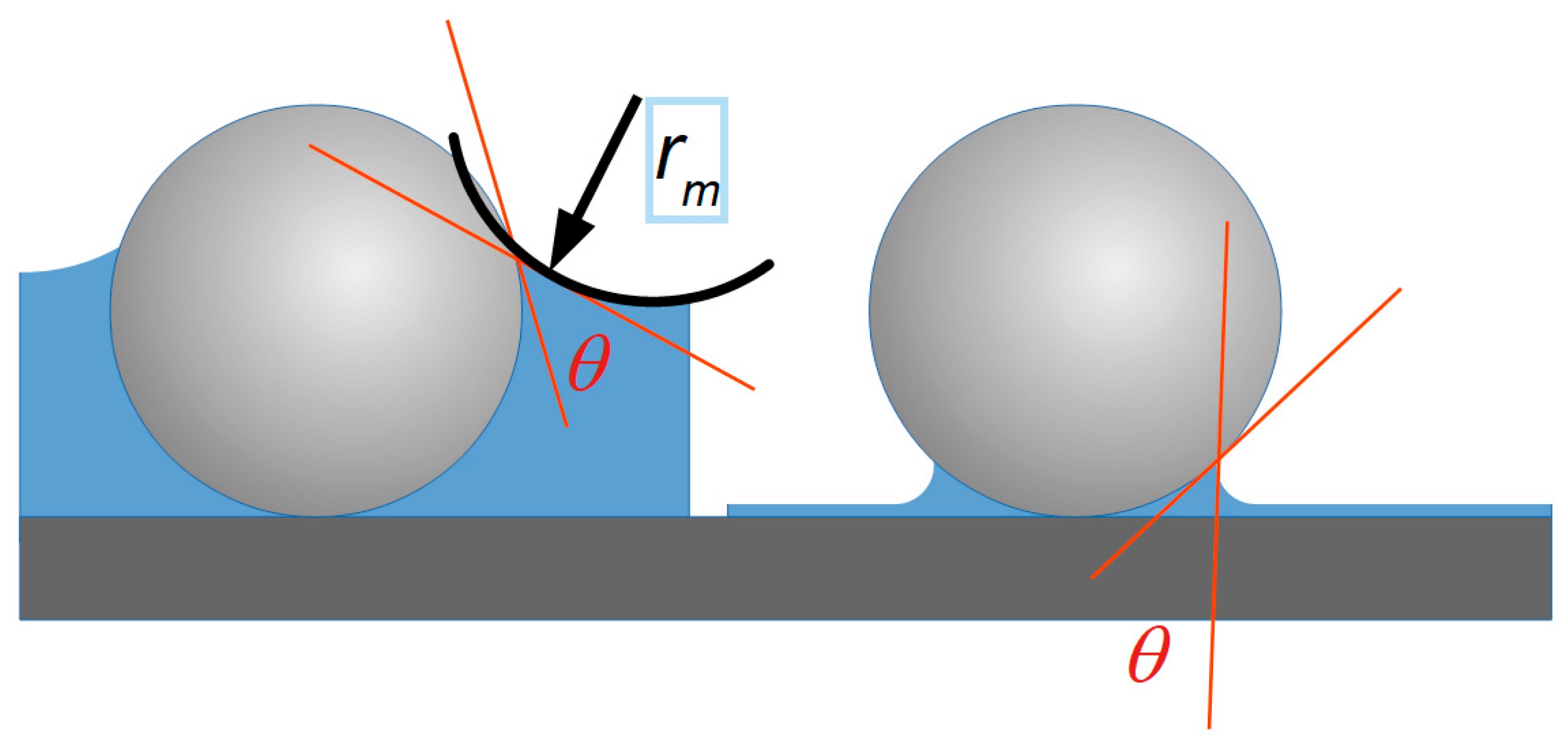 Plants 14 03838 g006