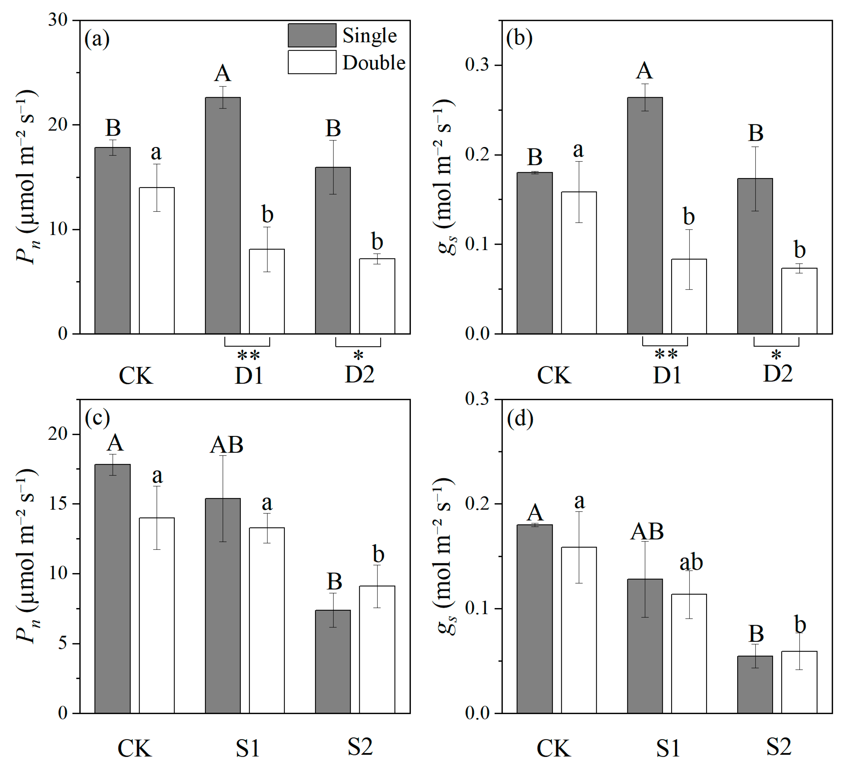 Plants 14 03842 g003
