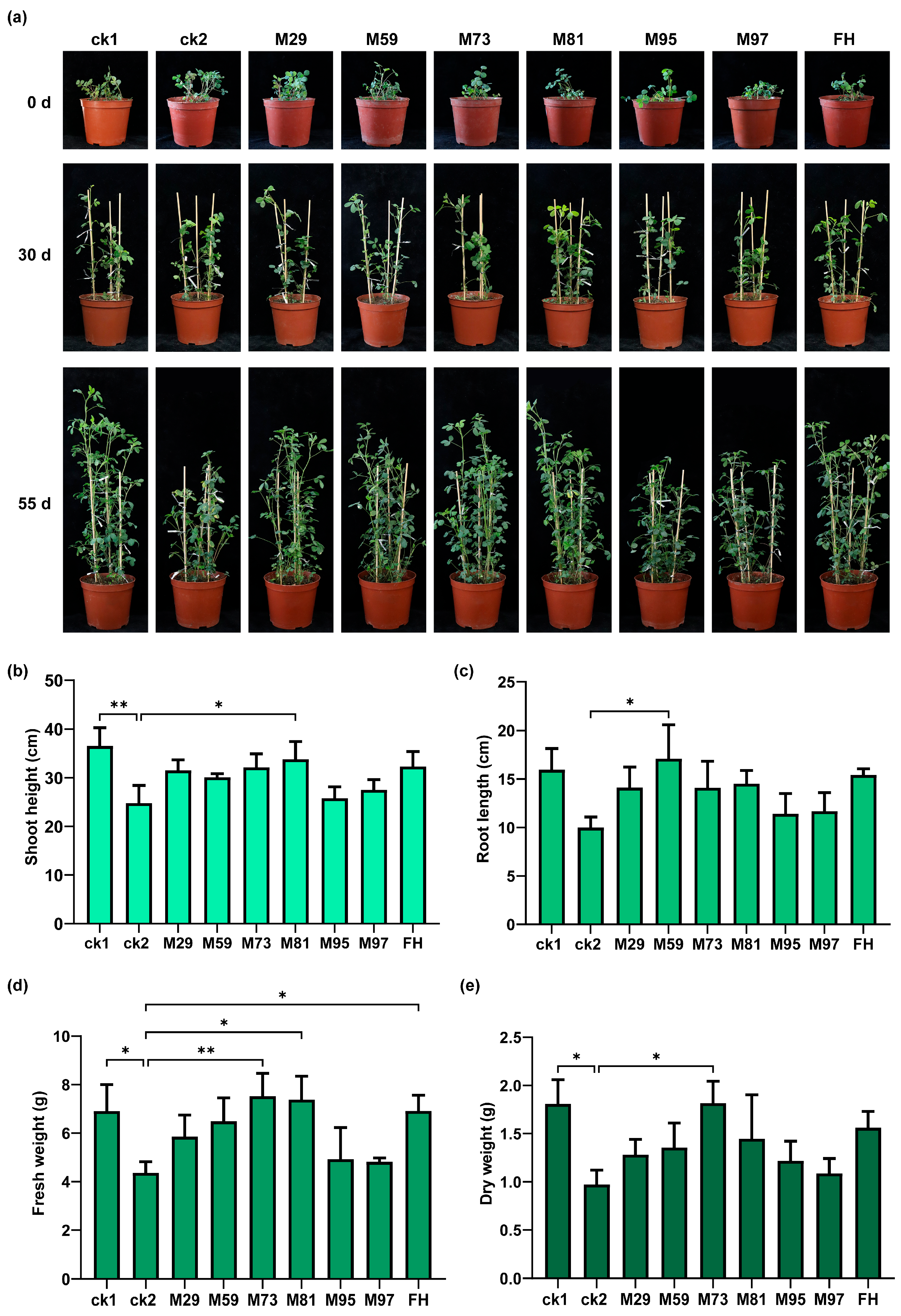 Plants 14 03844 g008 Plants 14 03844 g008