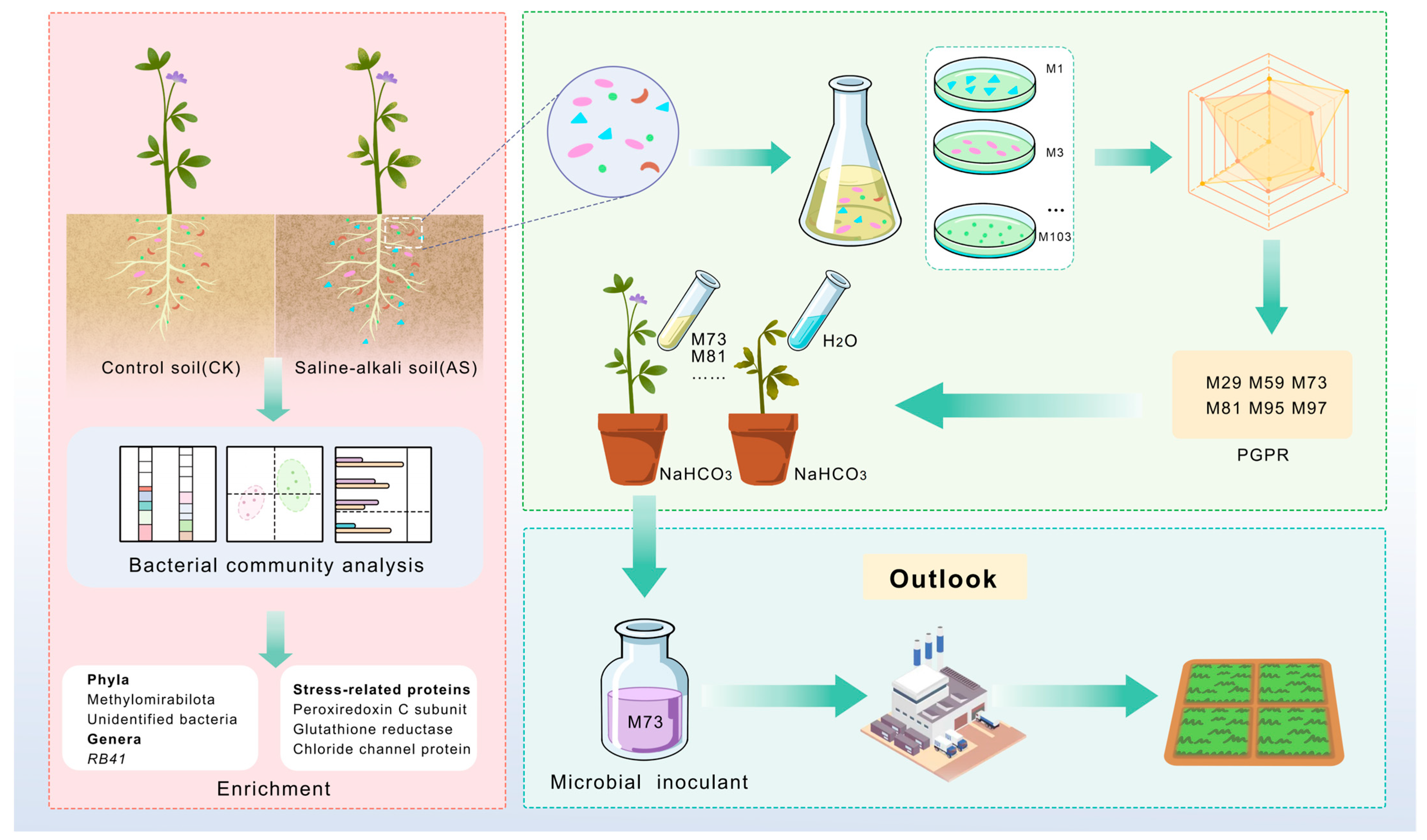 Plants 14 03844 g010 Plants 14 03844 g010