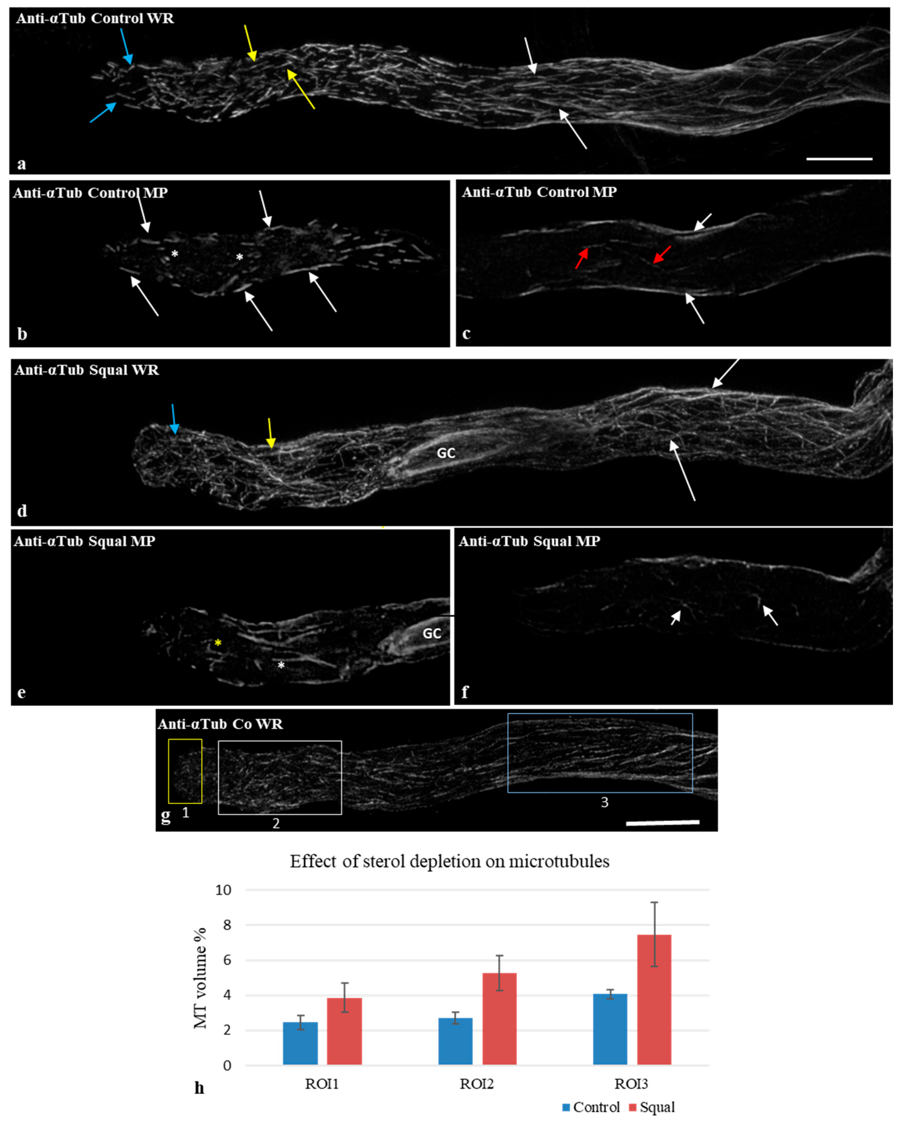 Plants 14 03845 g003 Plants 14 03845 g003