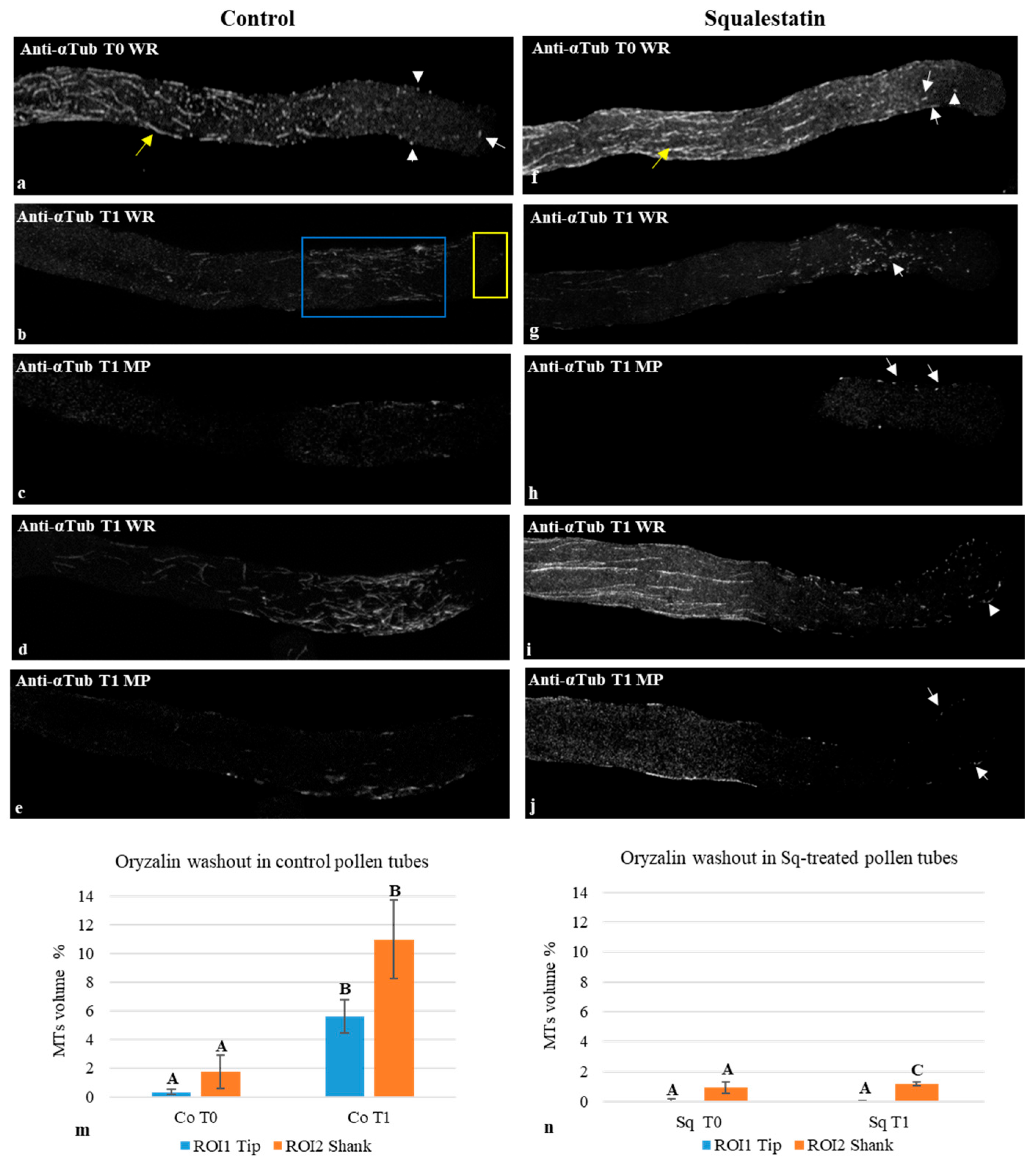 Plants 14 03845 g005 Plants 14 03845 g005