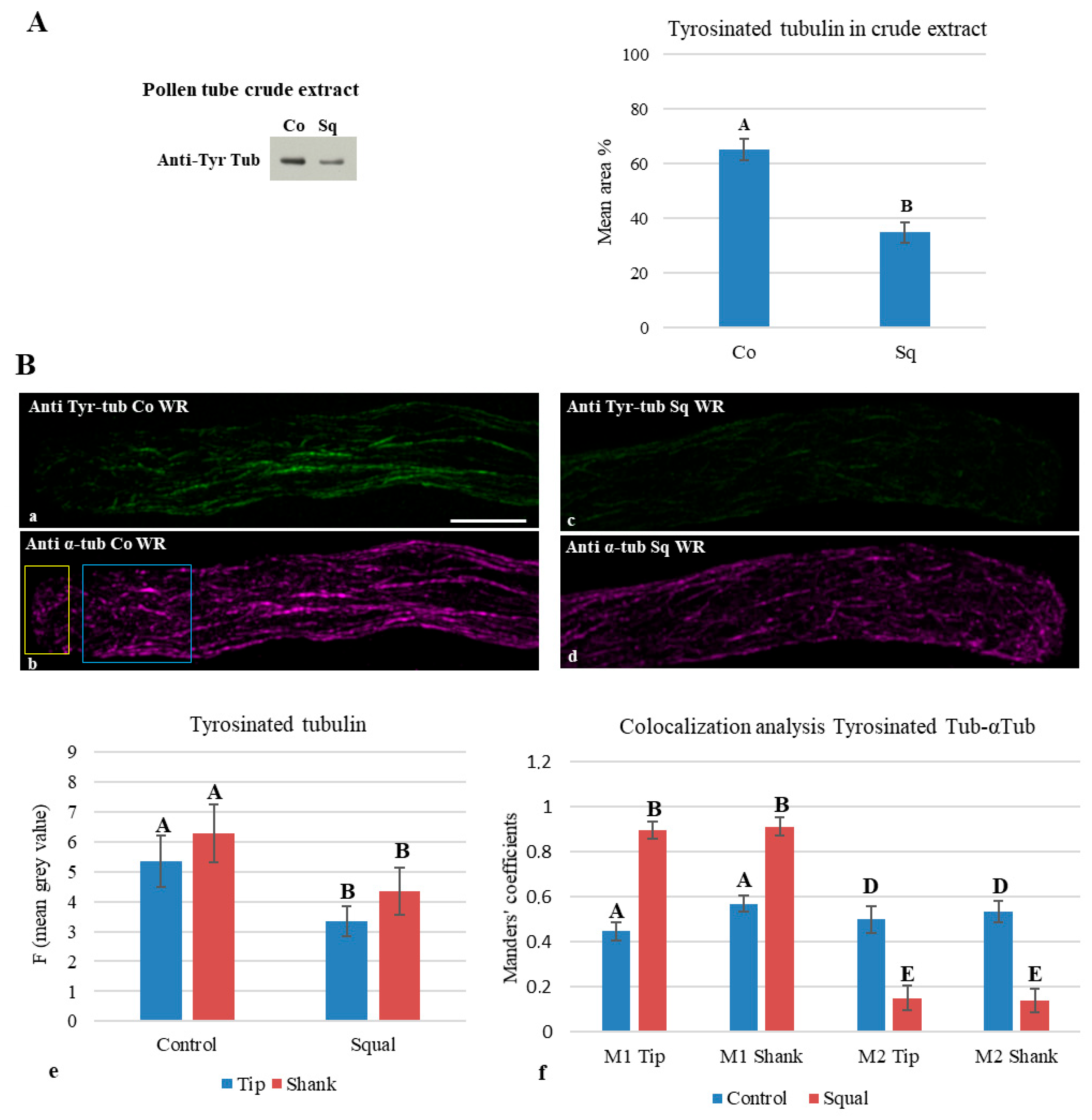 Plants 14 03845 g007 Plants 14 03845 g007