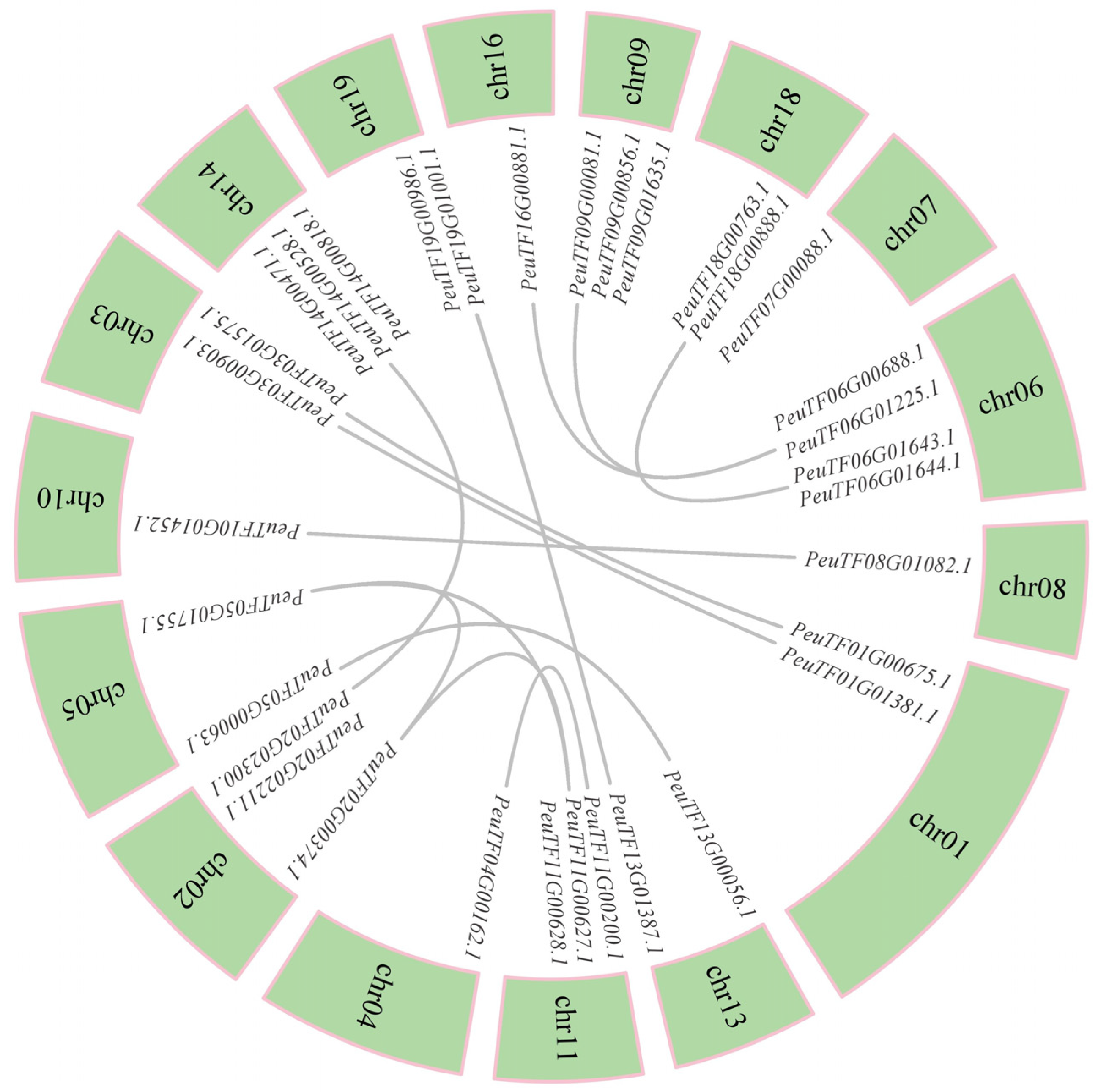 Plants 14 03847 g003 Plants 14 03847 g003