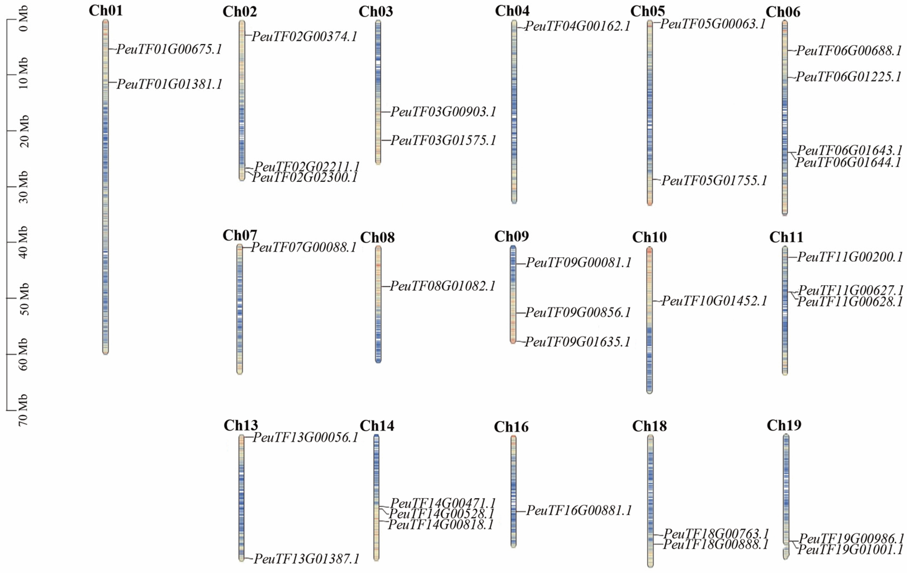 Plants 14 03847 g005 Plants 14 03847 g005