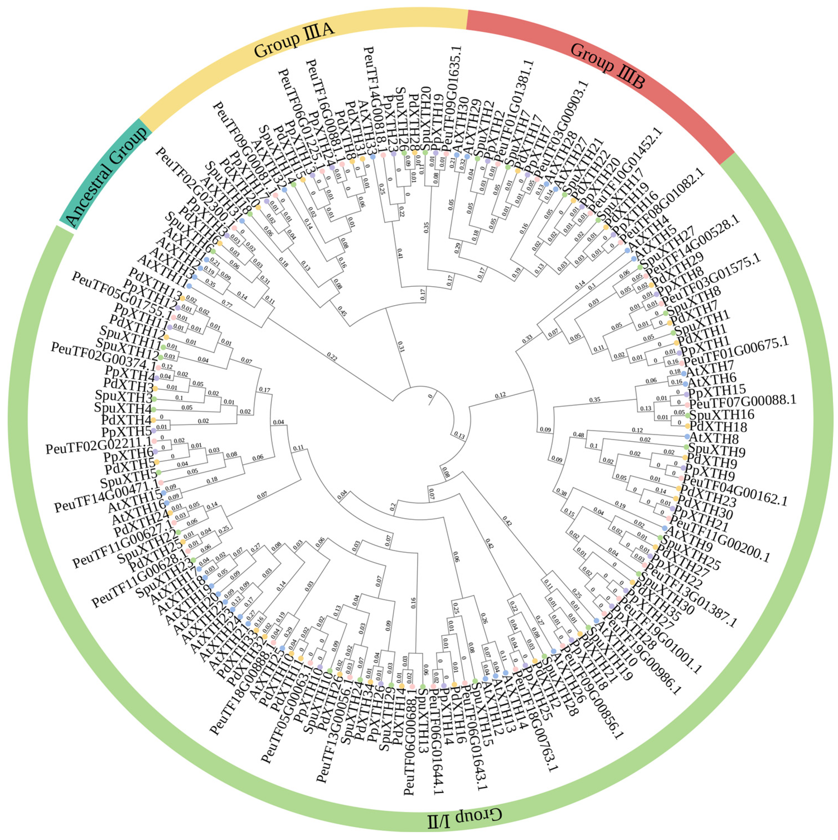 Plants 14 03847 g006 Plants 14 03847 g006