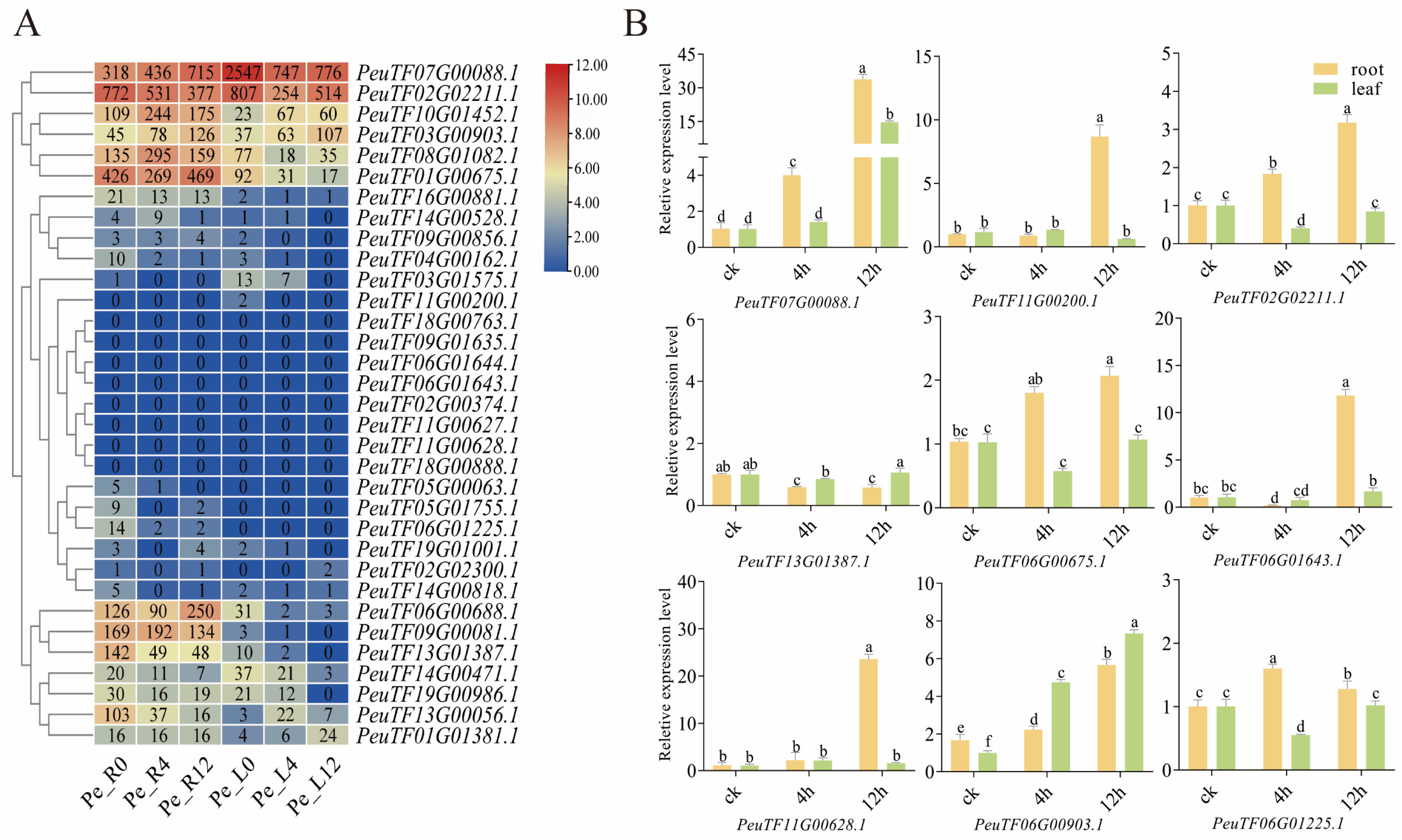 Plants 14 03847 g007 Plants 14 03847 g007