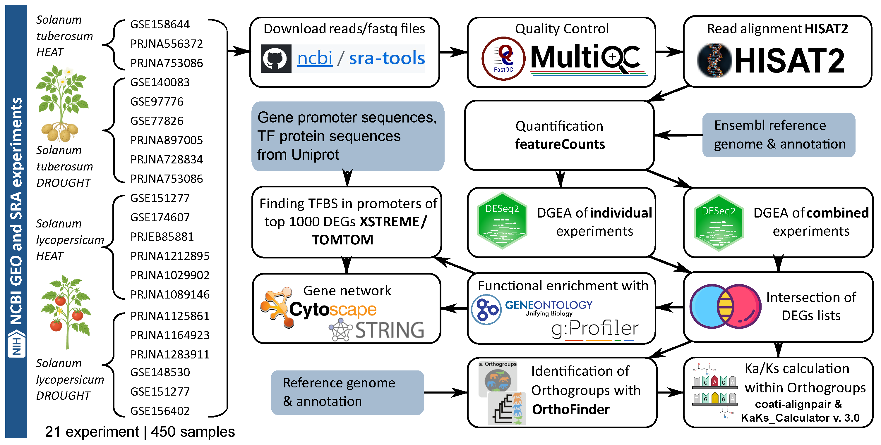 Plants 14 03851 g007