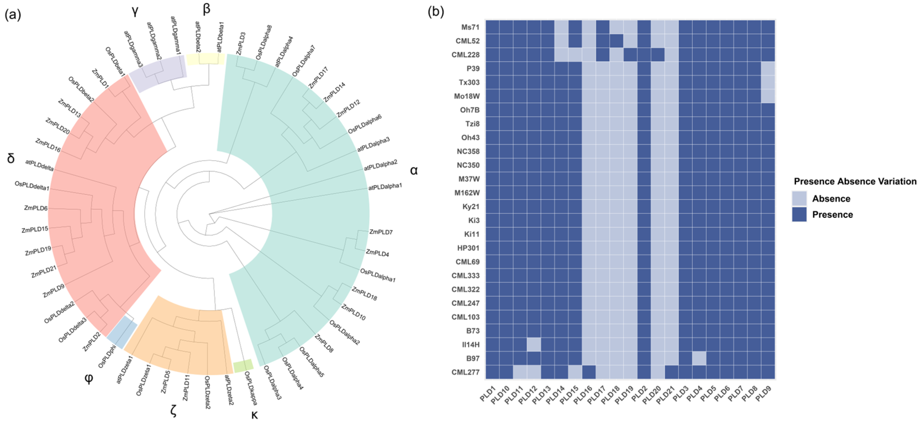 Plants 14 03858 g001 Plants 14 03858 g001