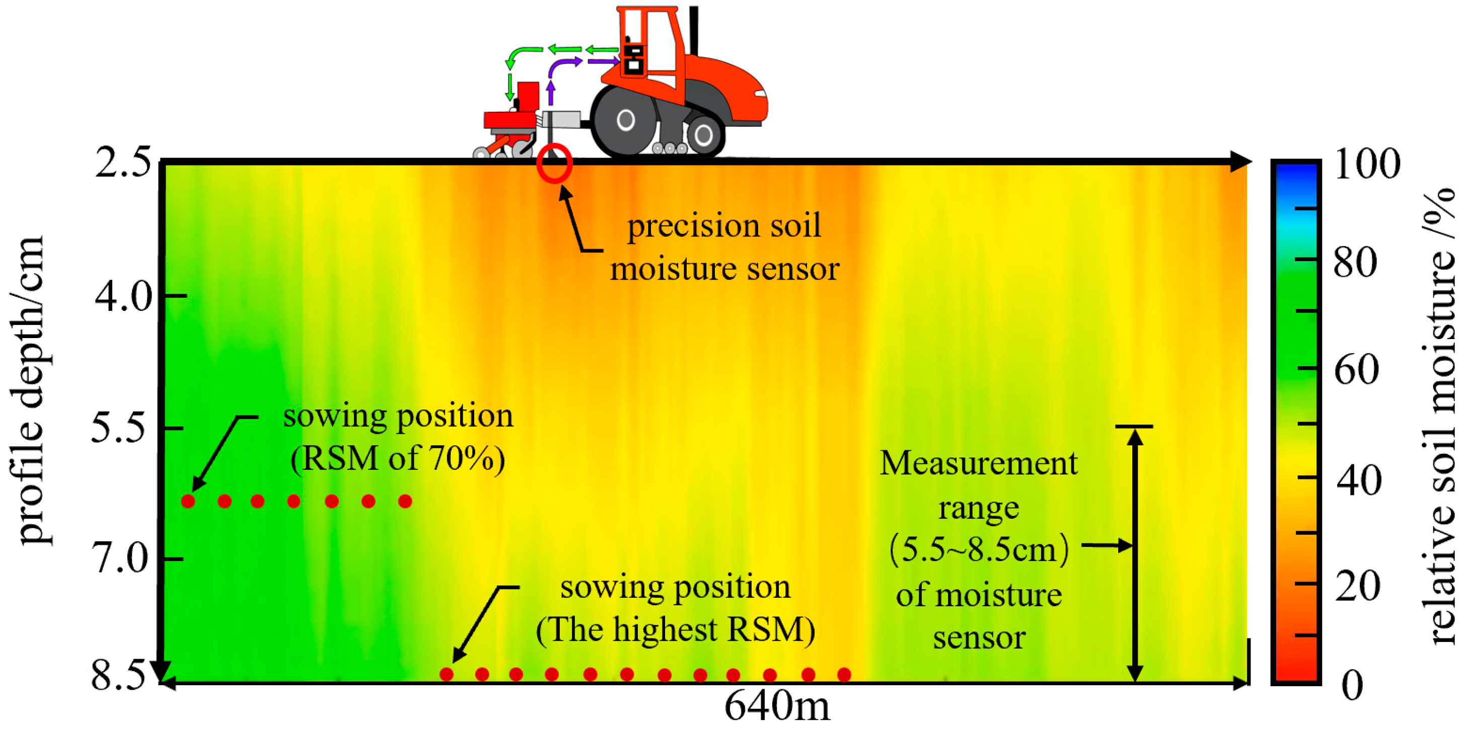 Plants 14 03859 g004