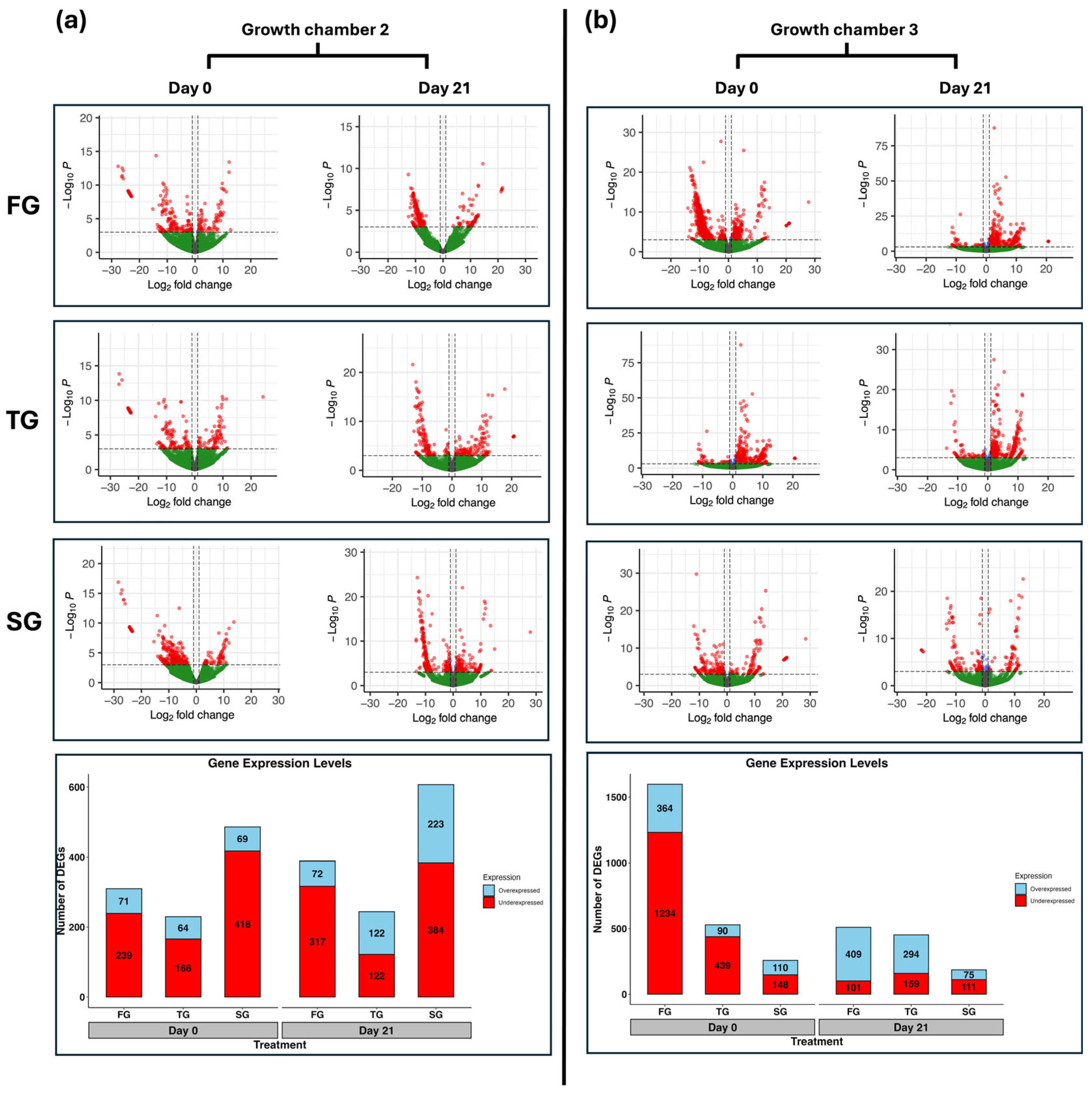 Plants 14 03860 g001 Plants 14 03860 g001