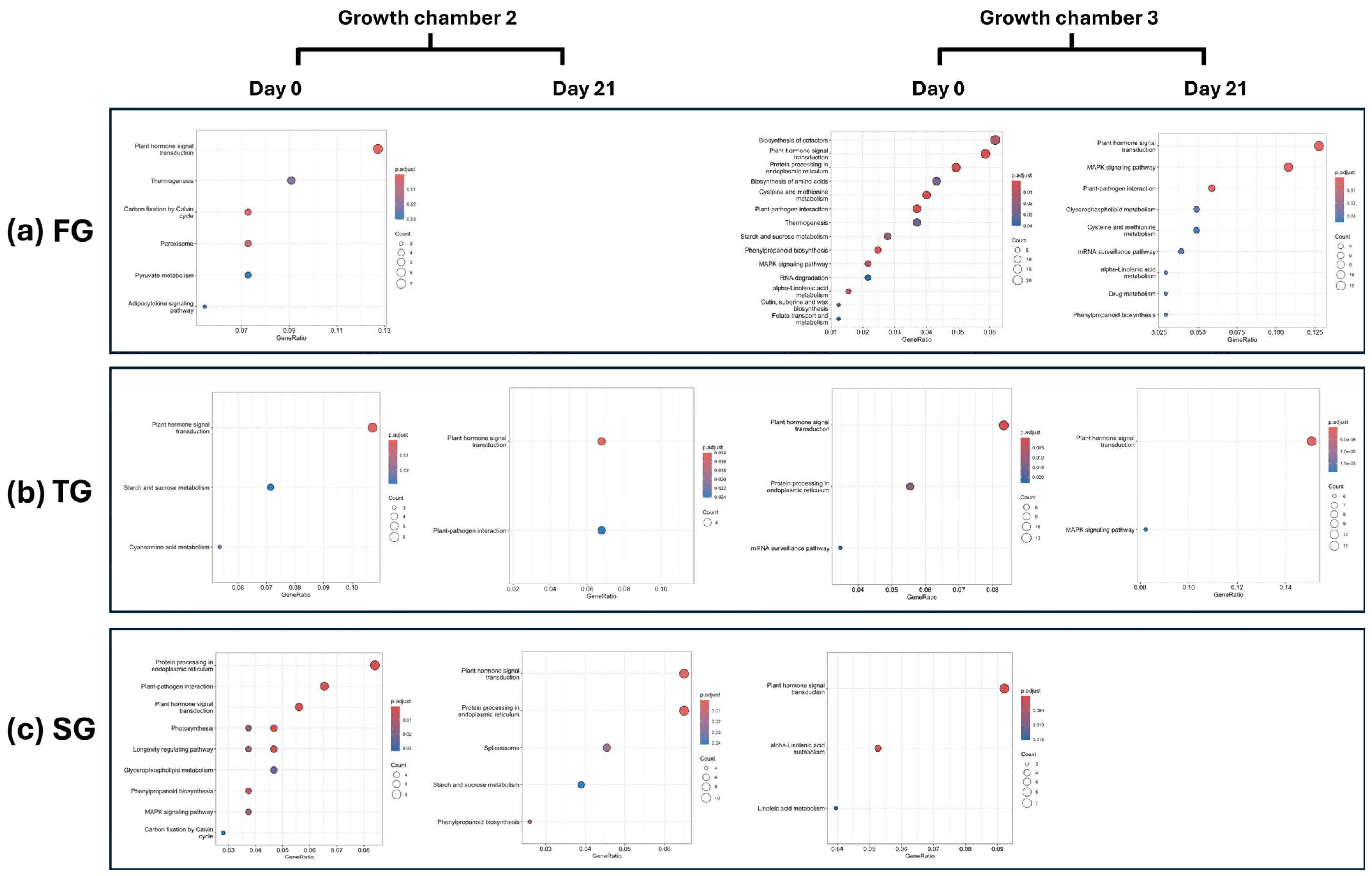 Plants 14 03860 g005 Plants 14 03860 g005