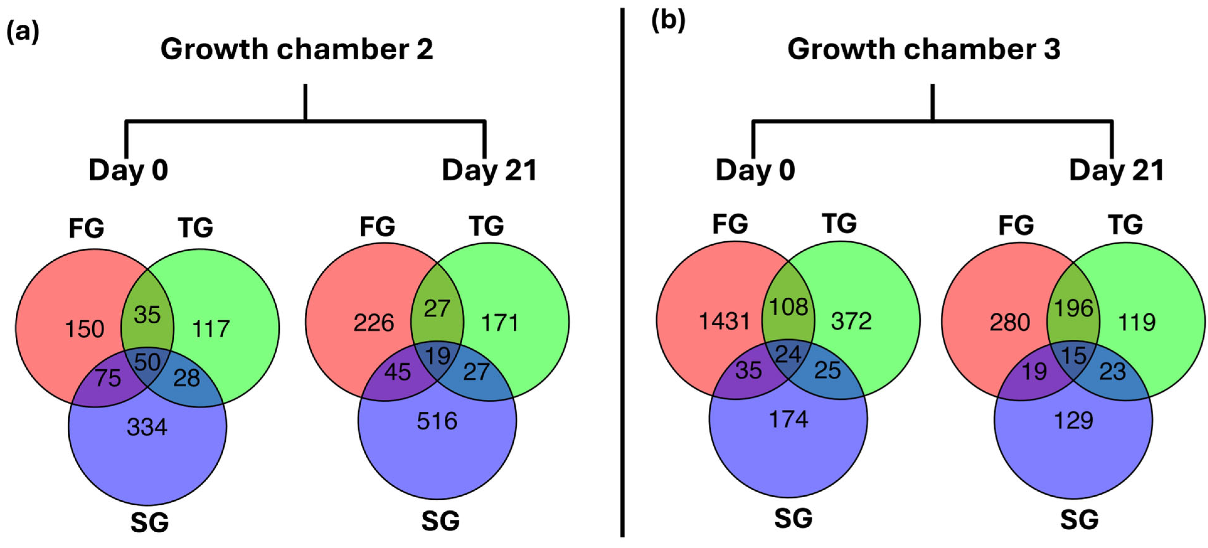Plants 14 03860 g006 Plants 14 03860 g006