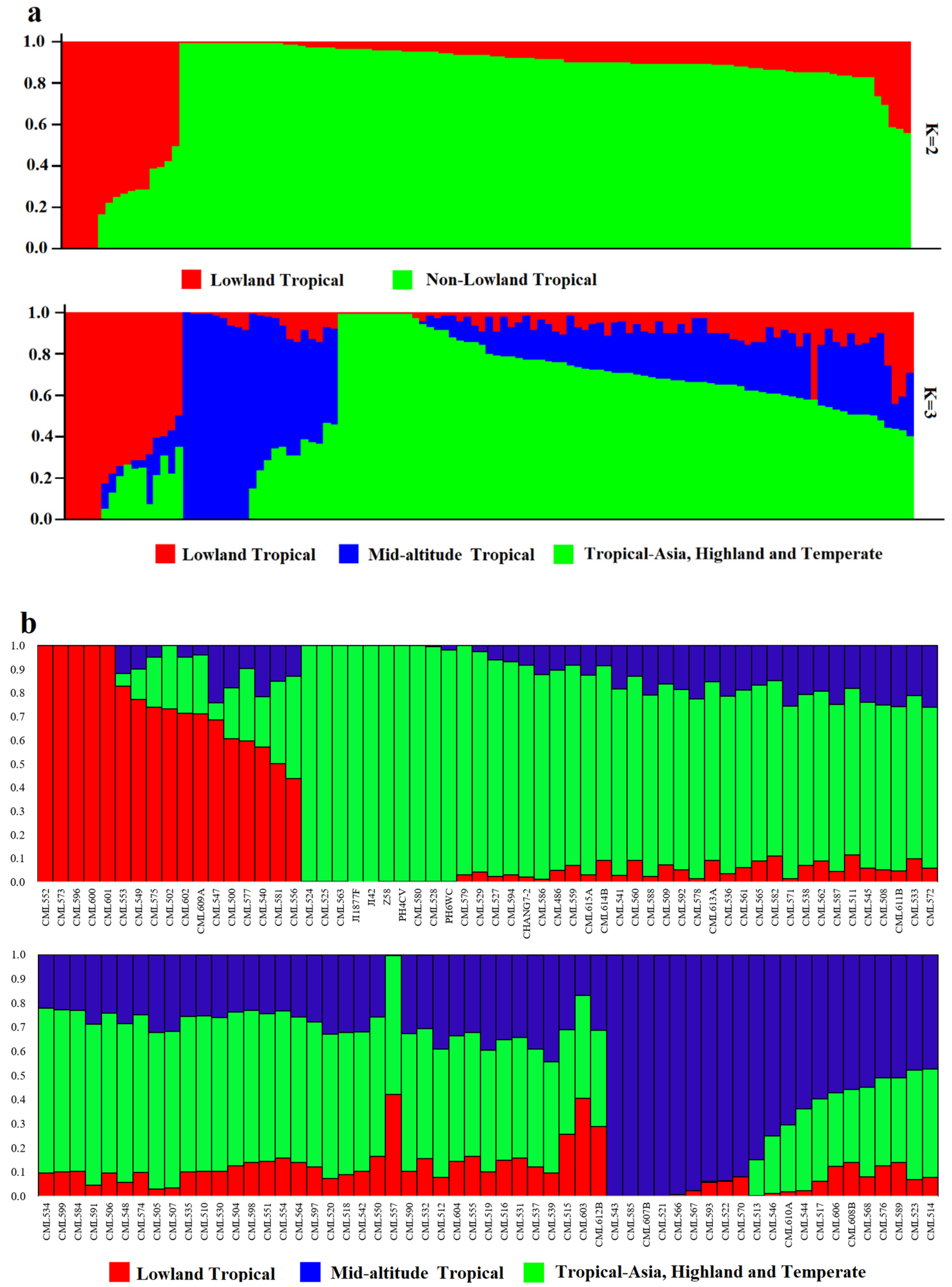 Plants 14 03866 g005