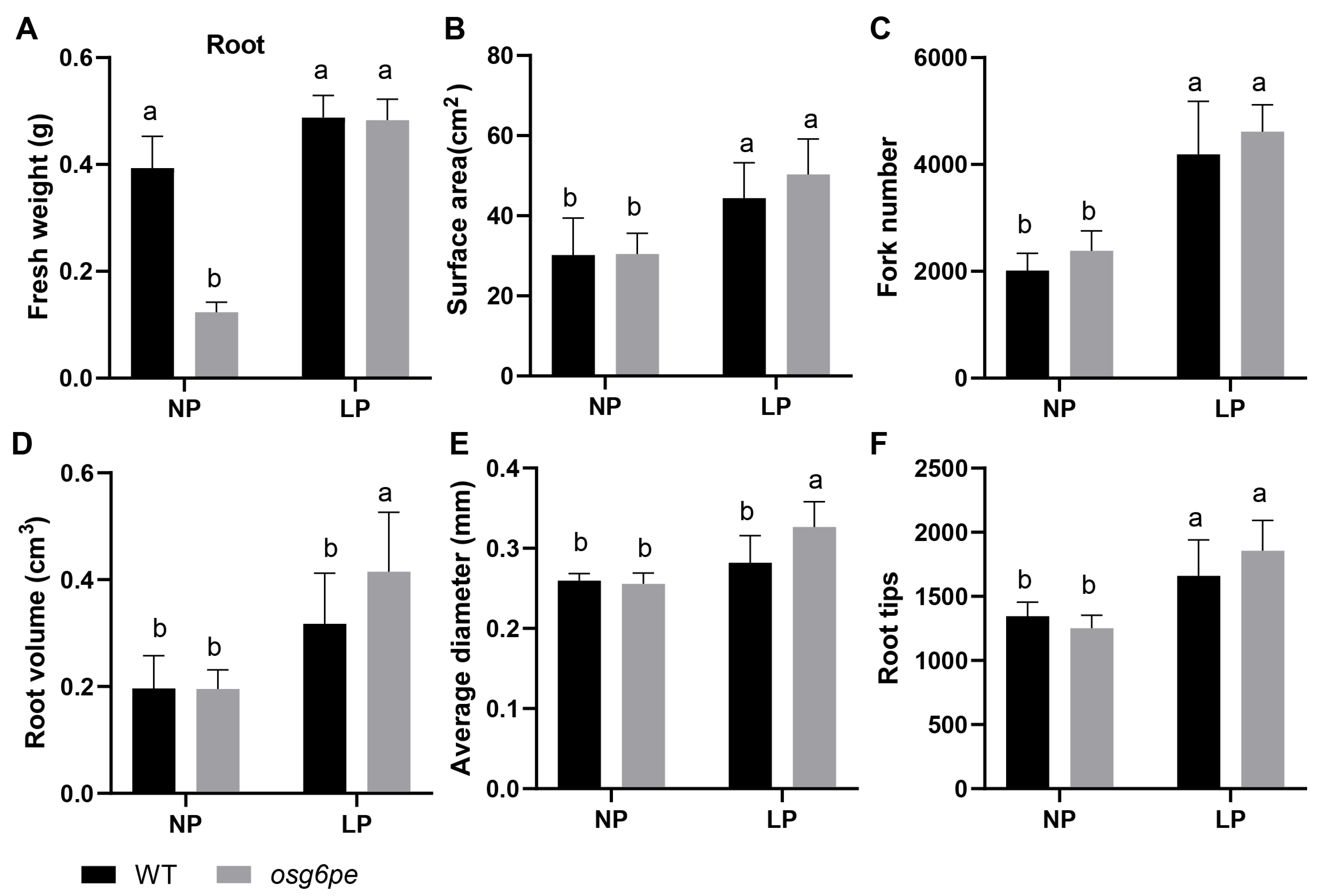Plants 14 03869 g004