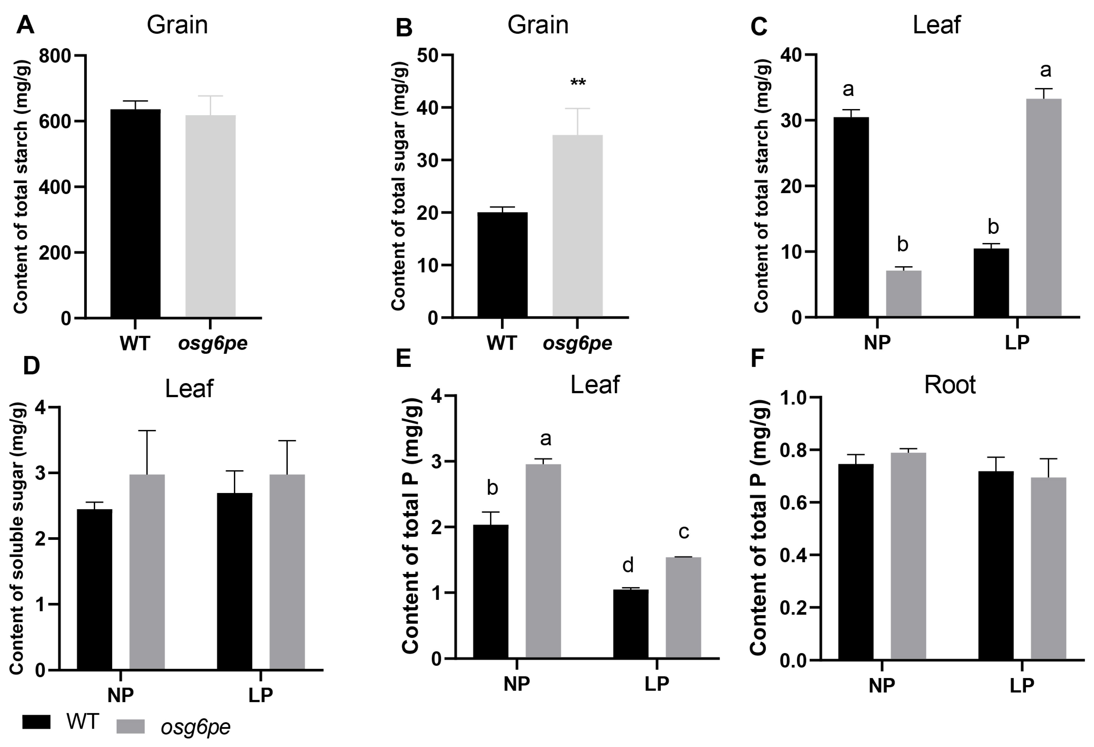 Plants 14 03869 g005