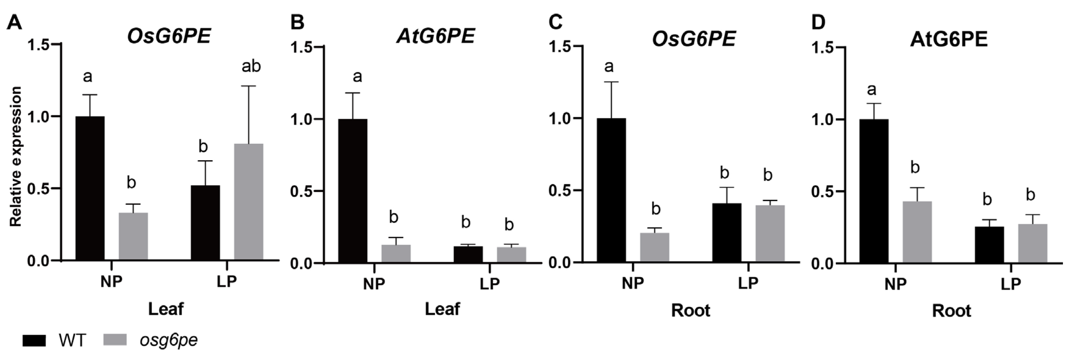 Plants 14 03869 g006
