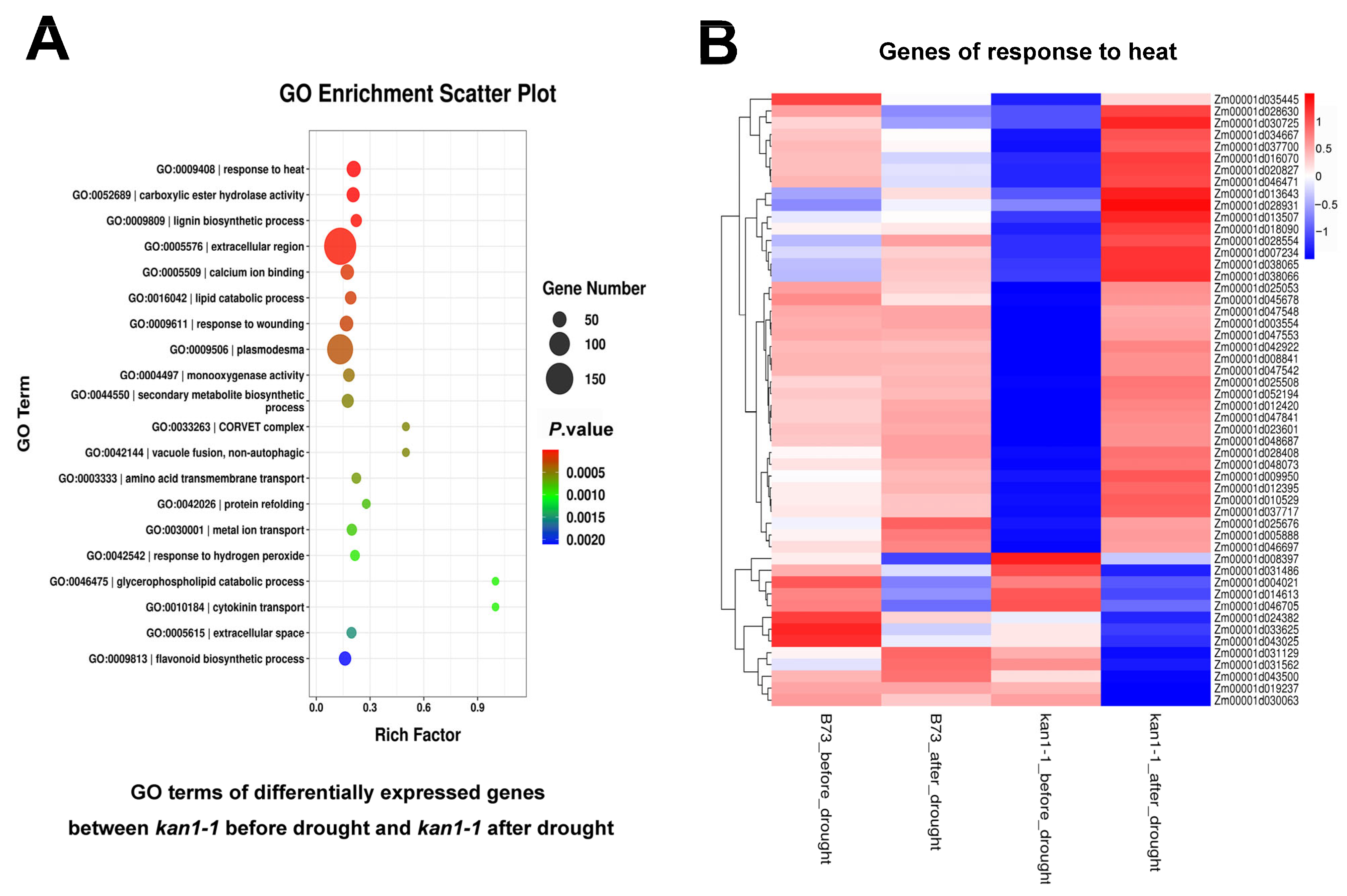 Plants 15 00002 g004