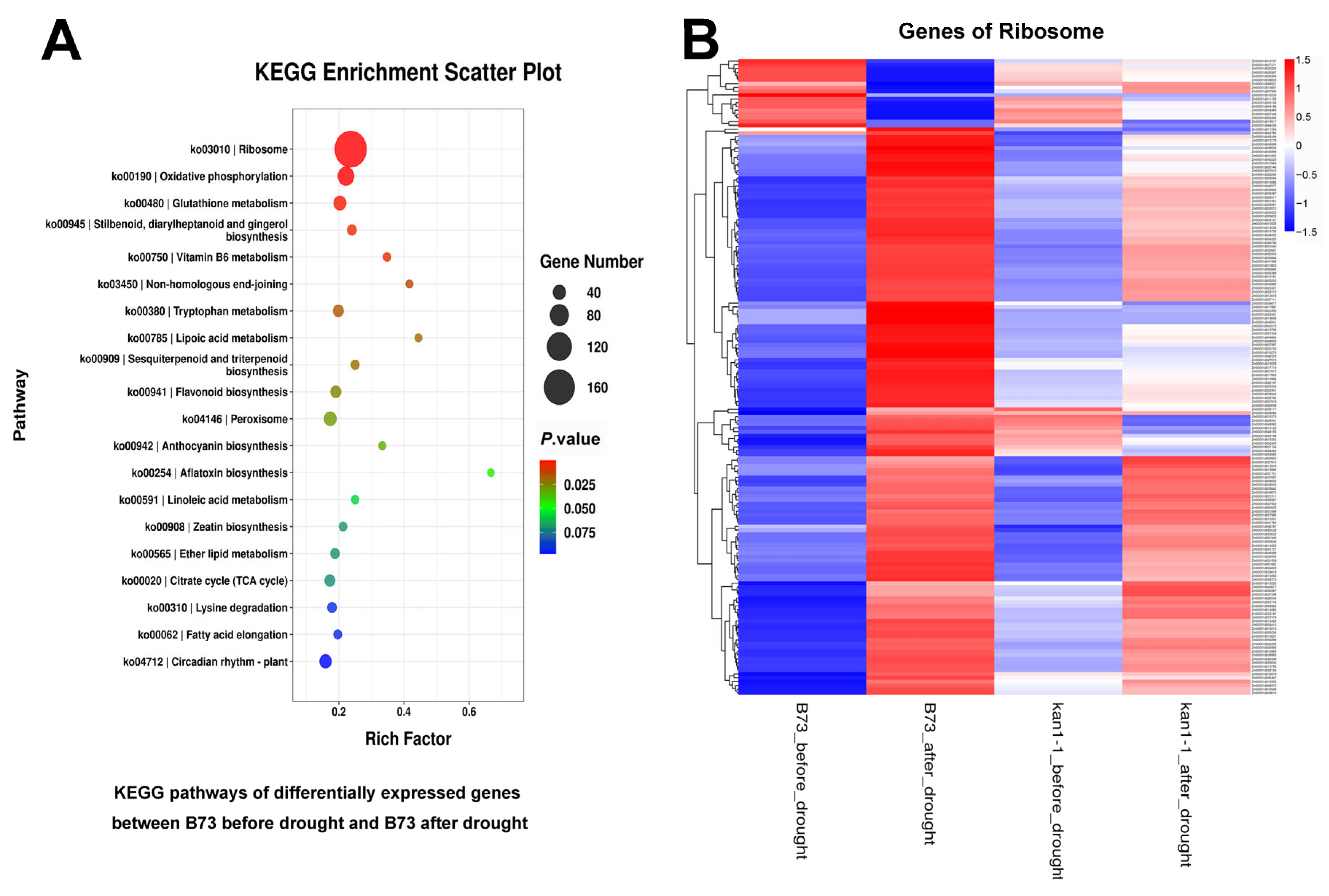 Plants 15 00002 g007