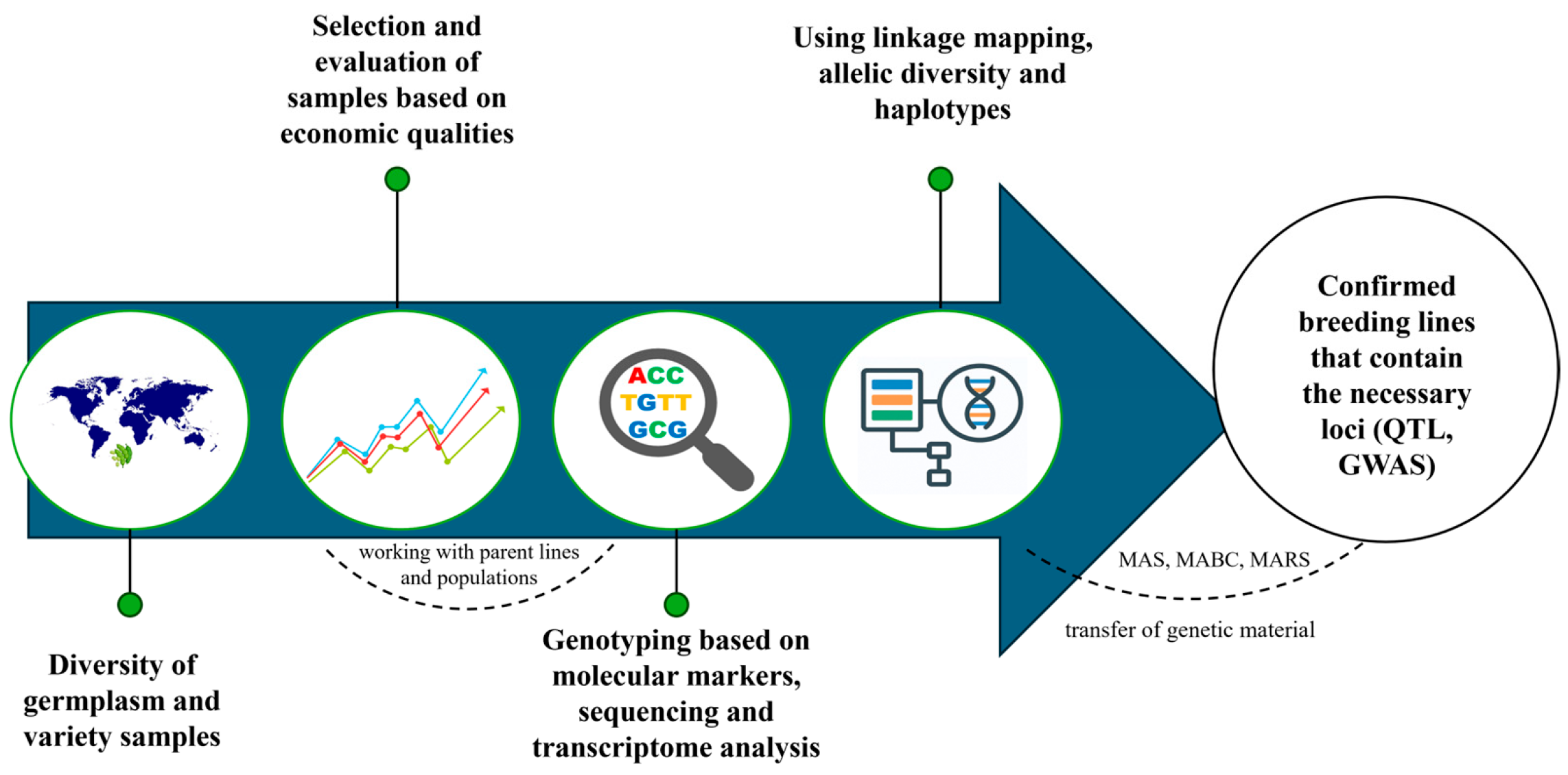 Plants 15 00005 g001