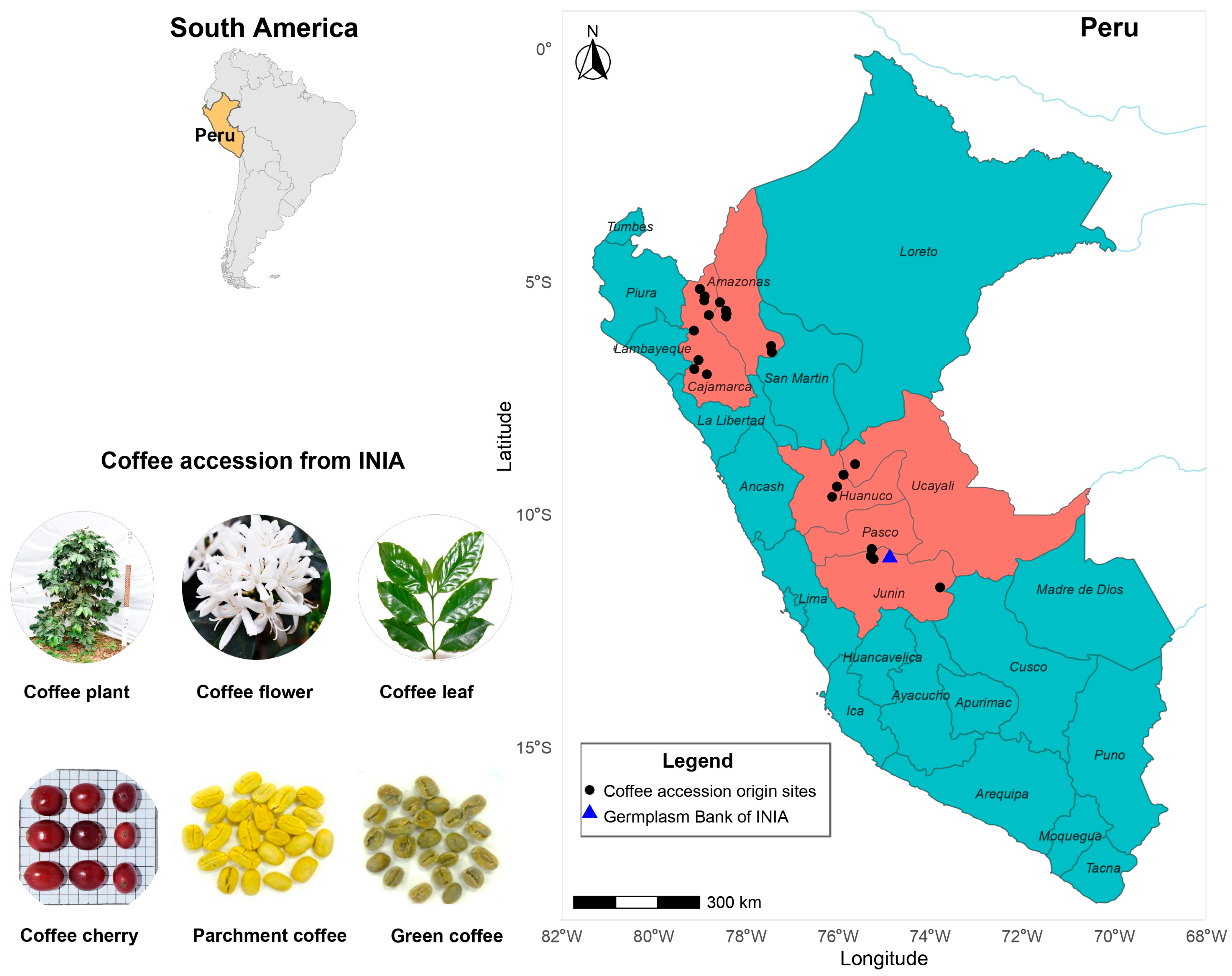 Plants 15 00013 g010