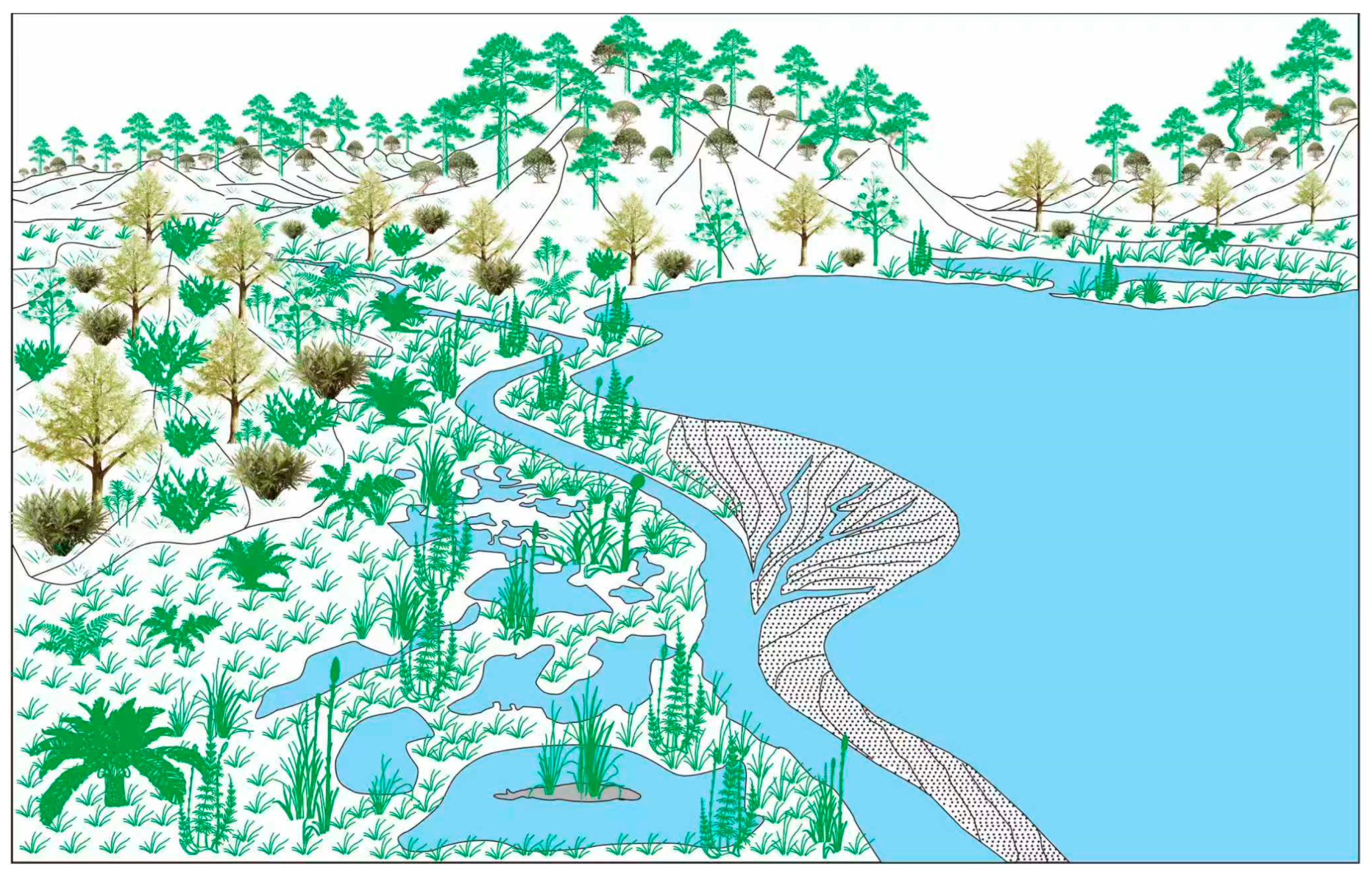 Plants 15 00022 g011