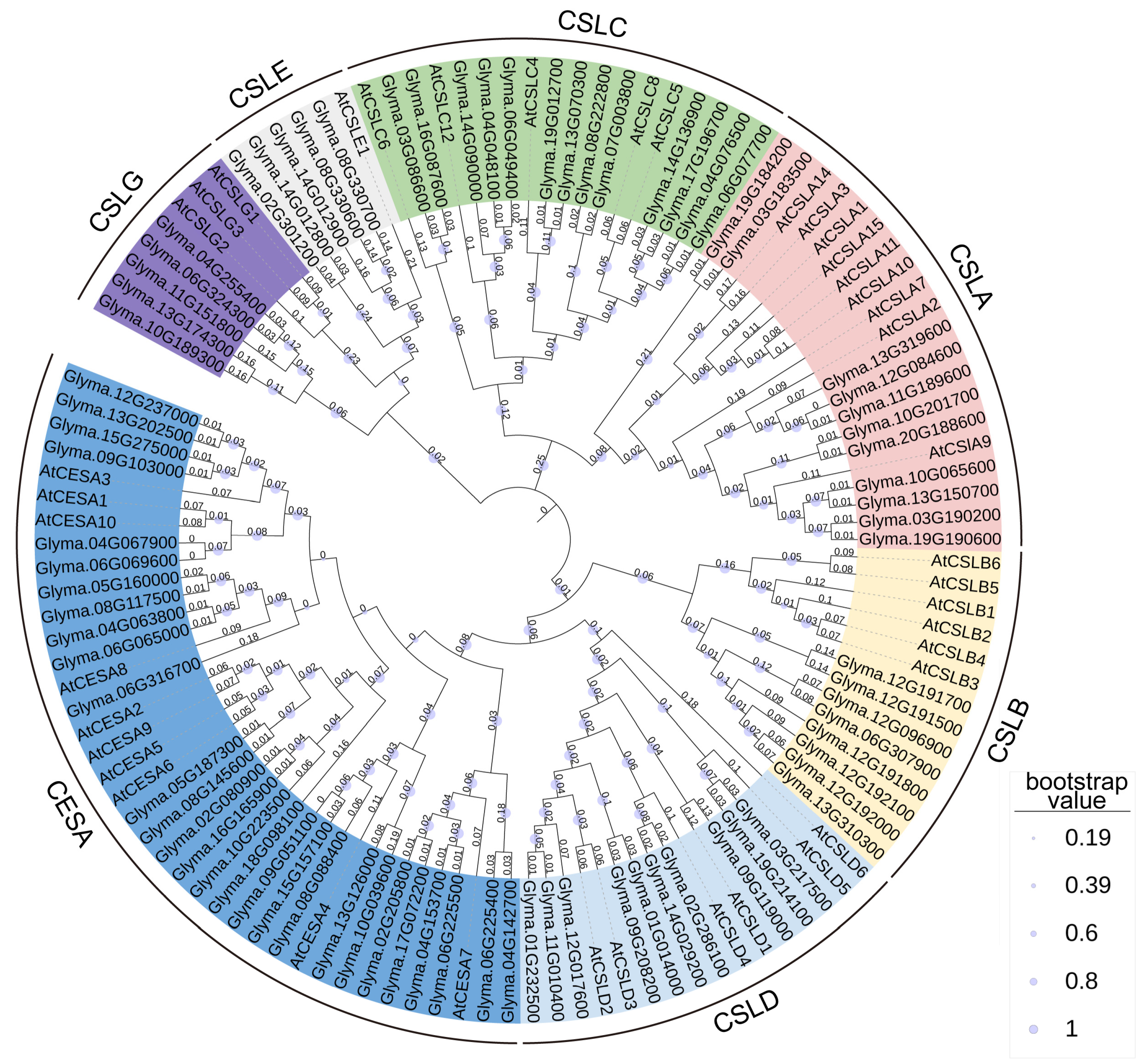 Plants 15 00034 g001