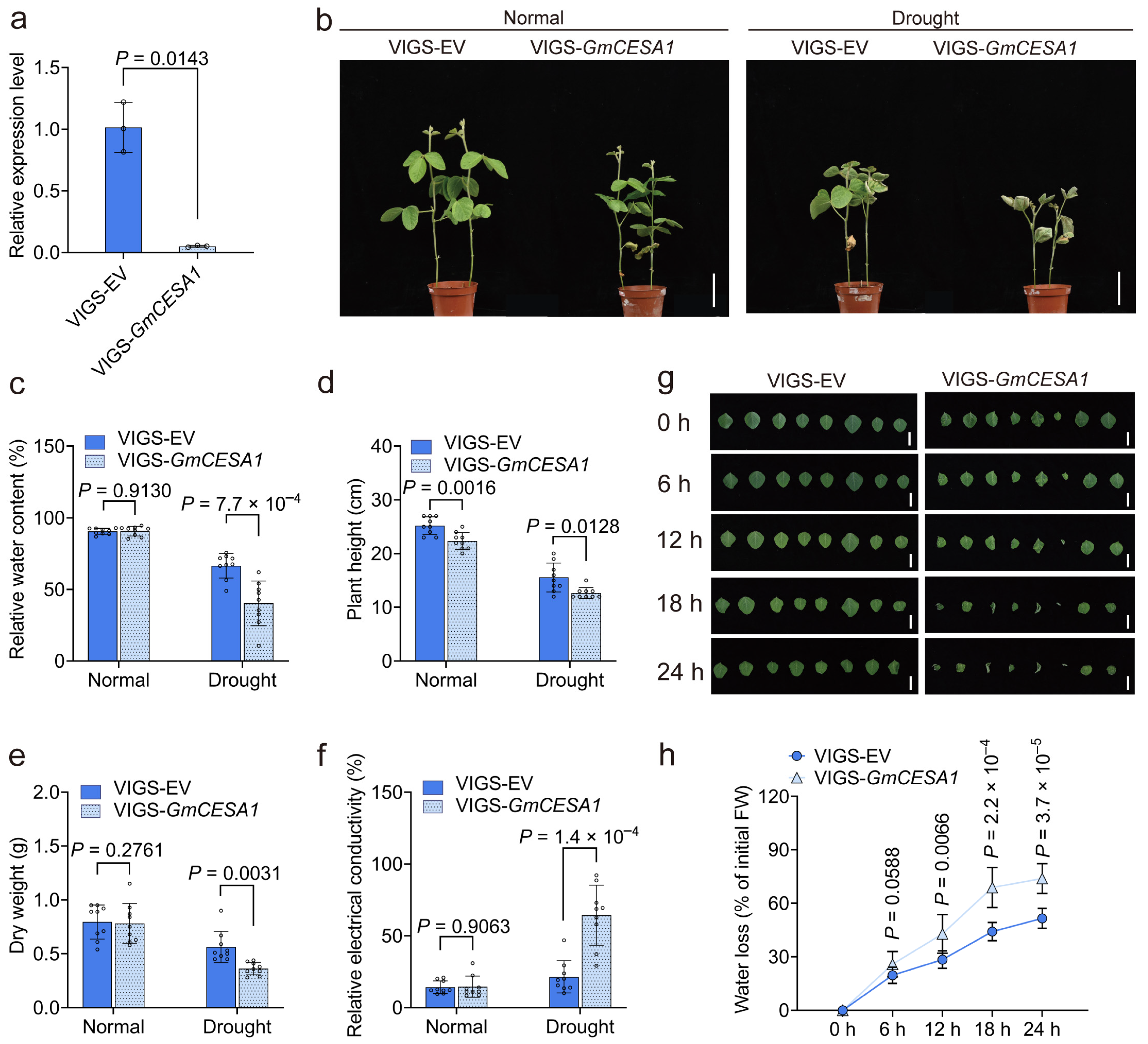 Plants 15 00034 g005