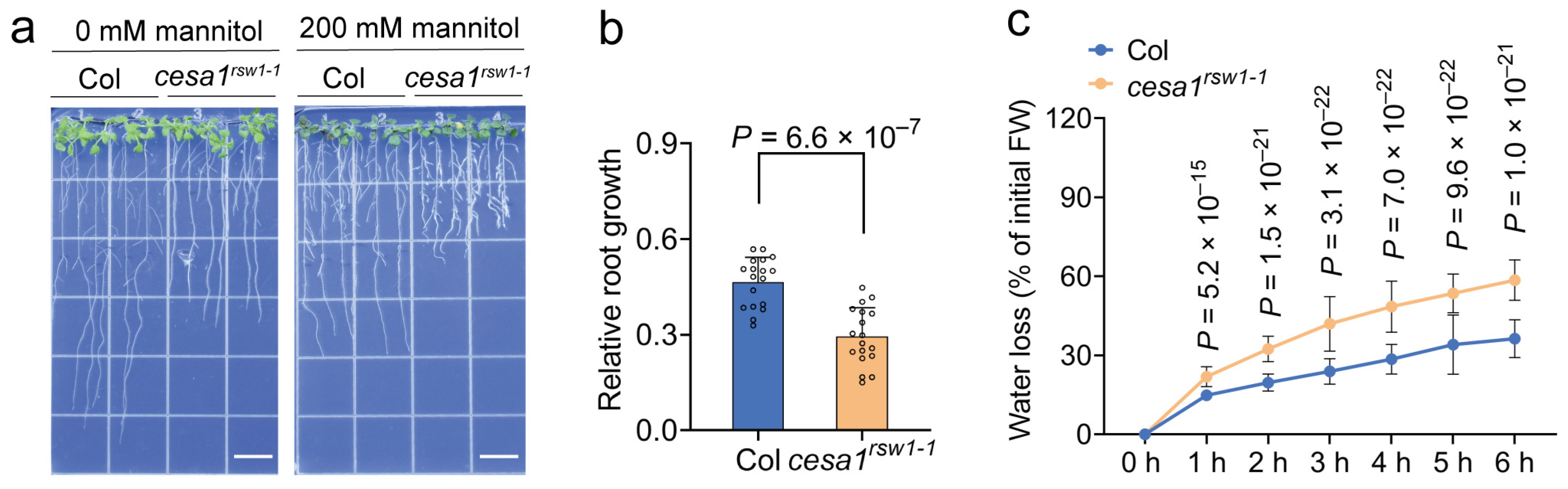 Plants 15 00034 g006