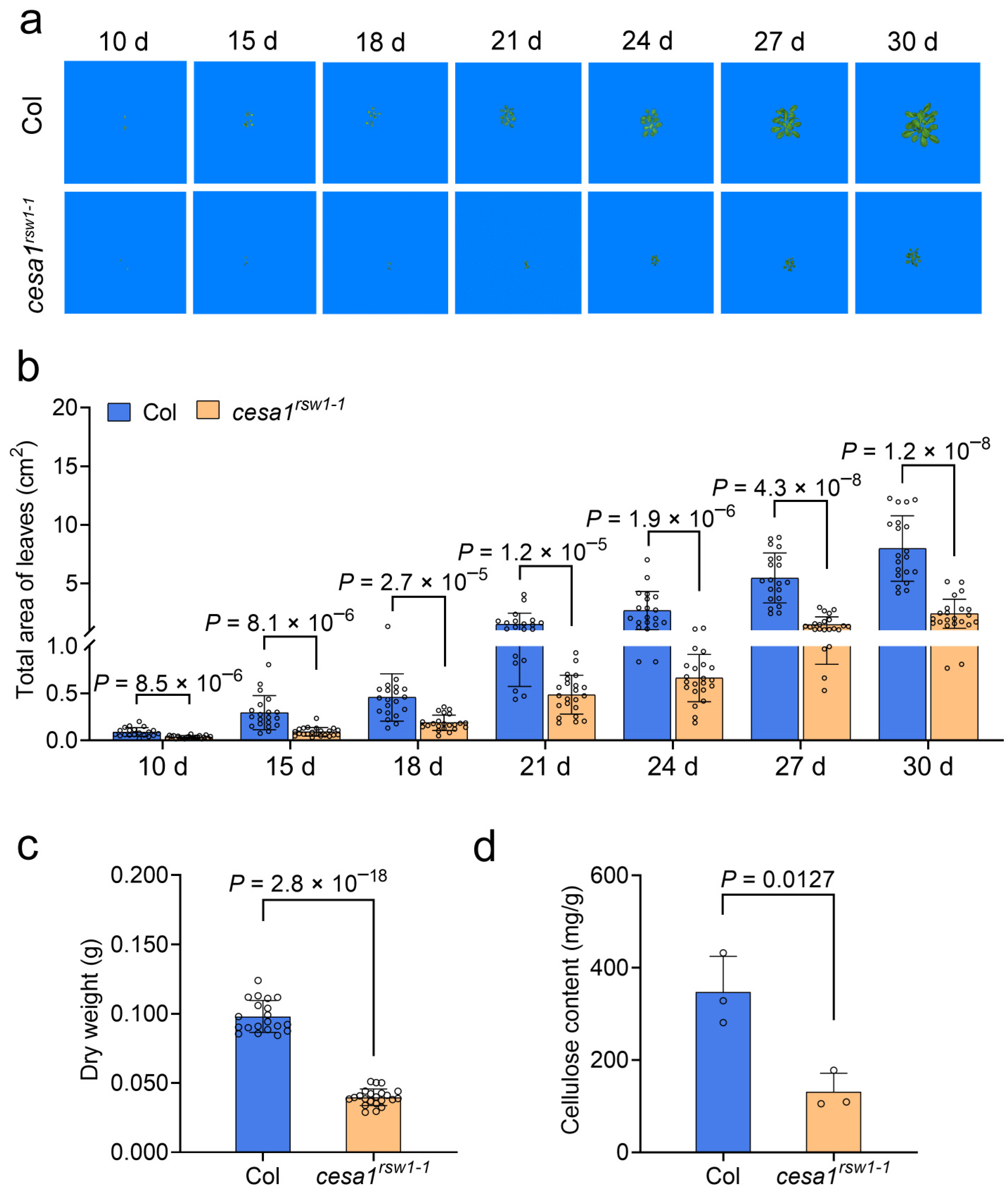 Plants 15 00034 g007
