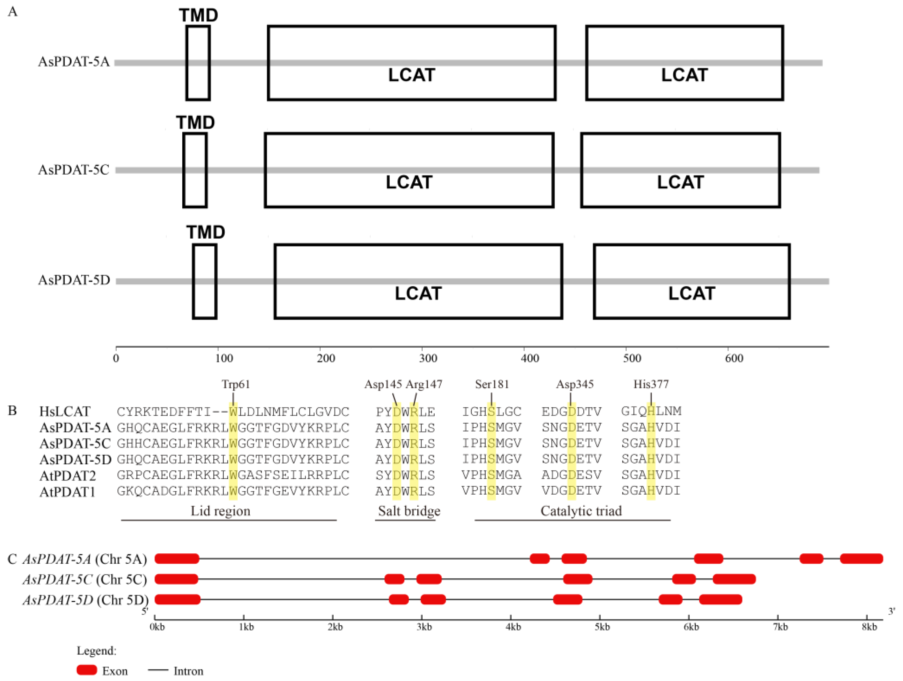 Plants 15 00035 g001