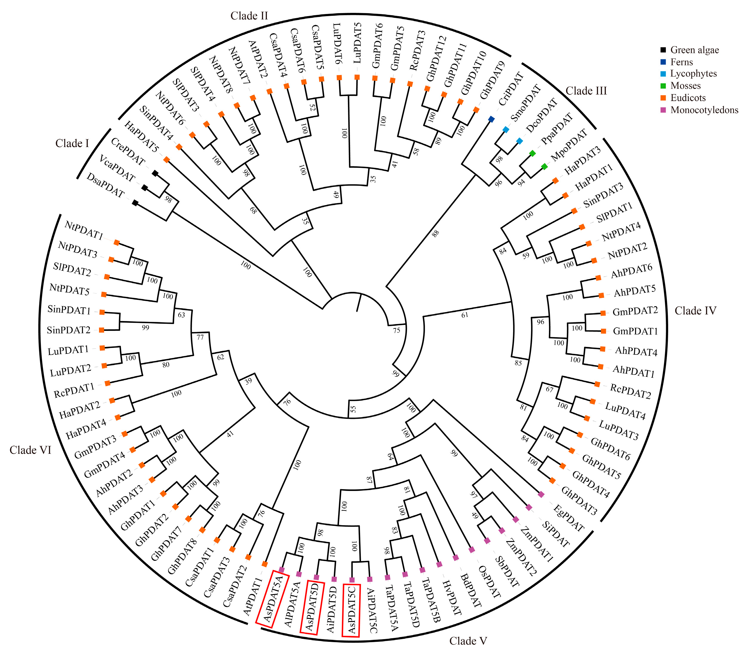 Plants 15 00035 g002