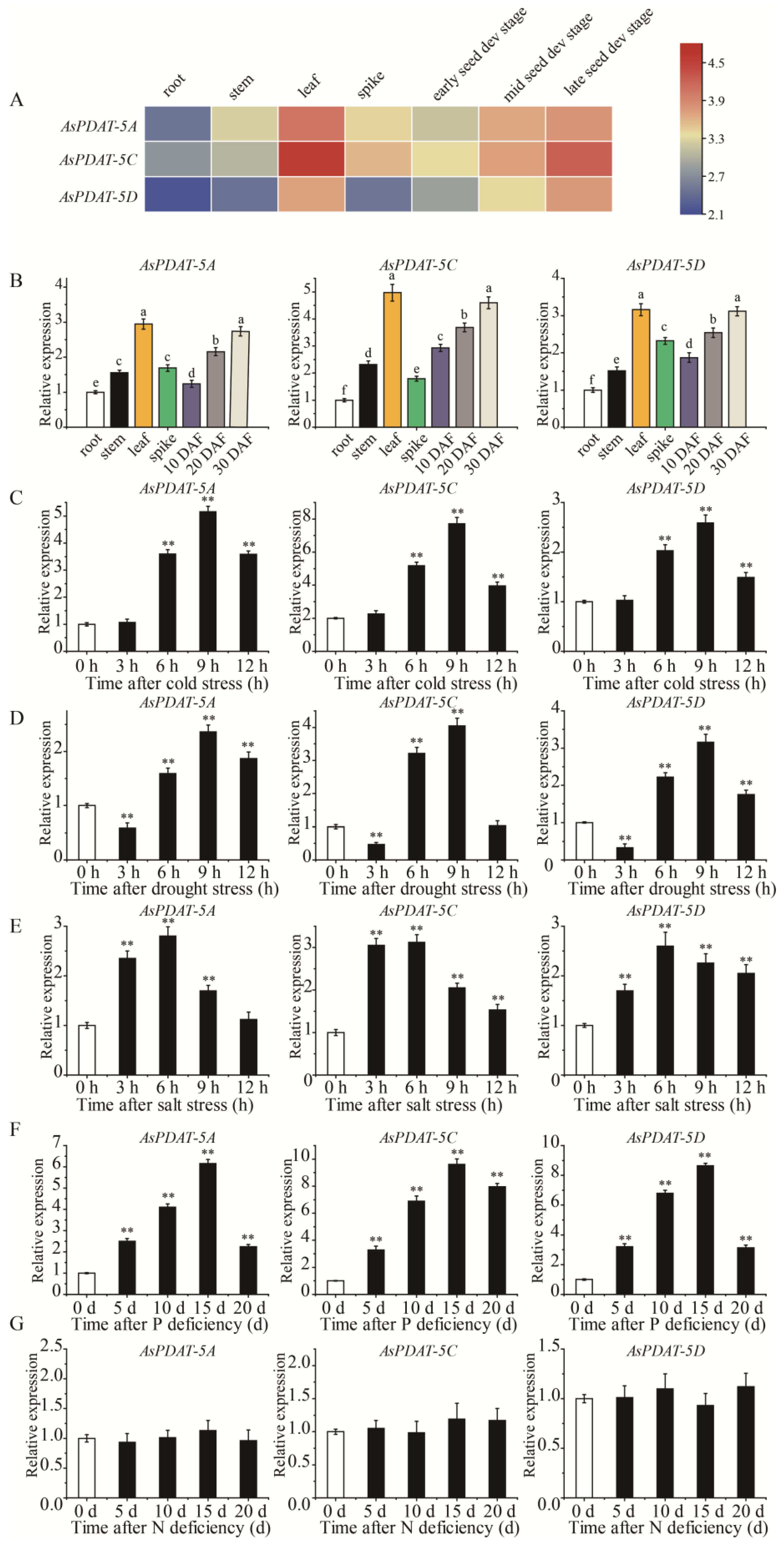 Plants 15 00035 g003