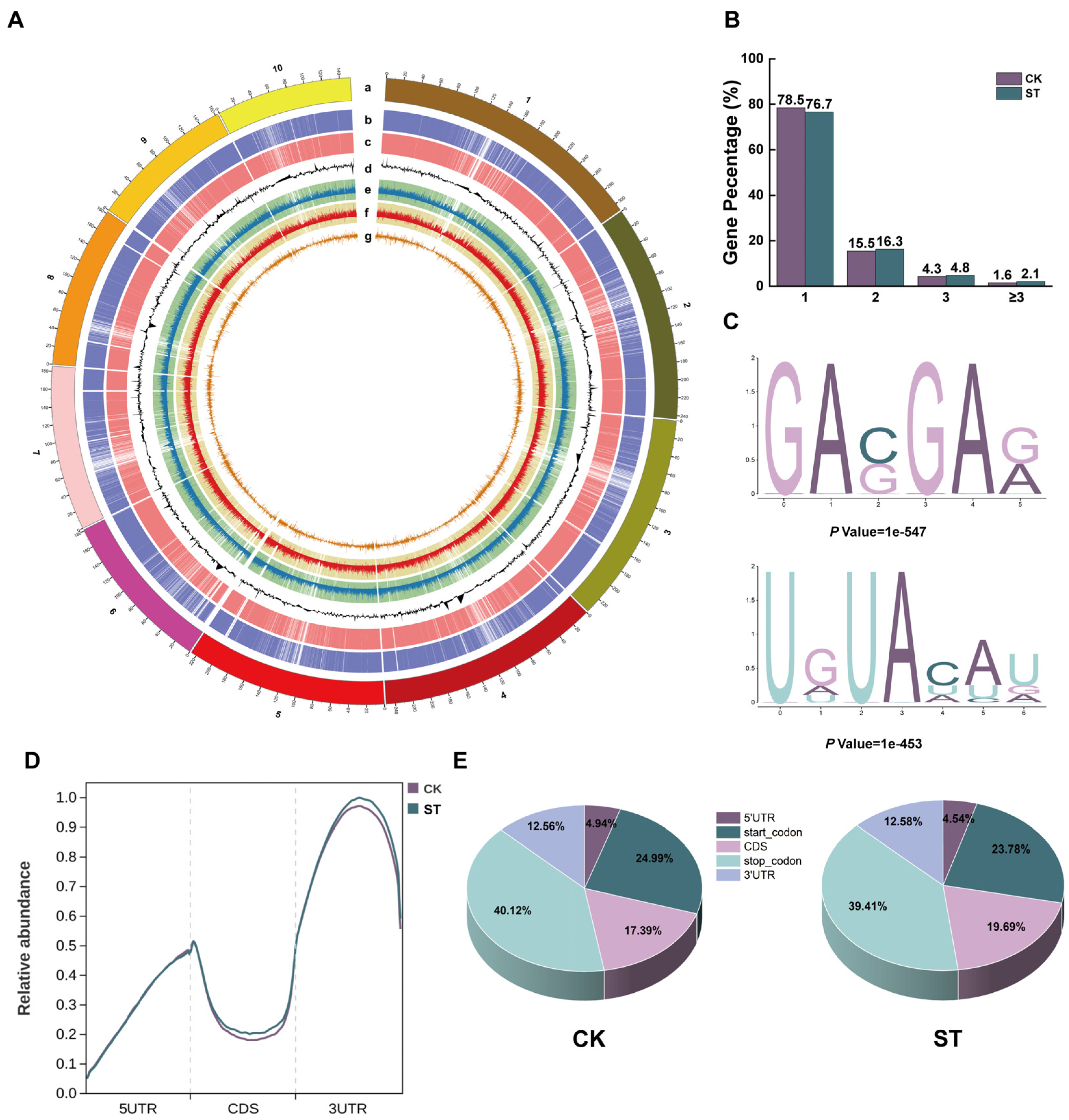 Plants 15 00036 g002