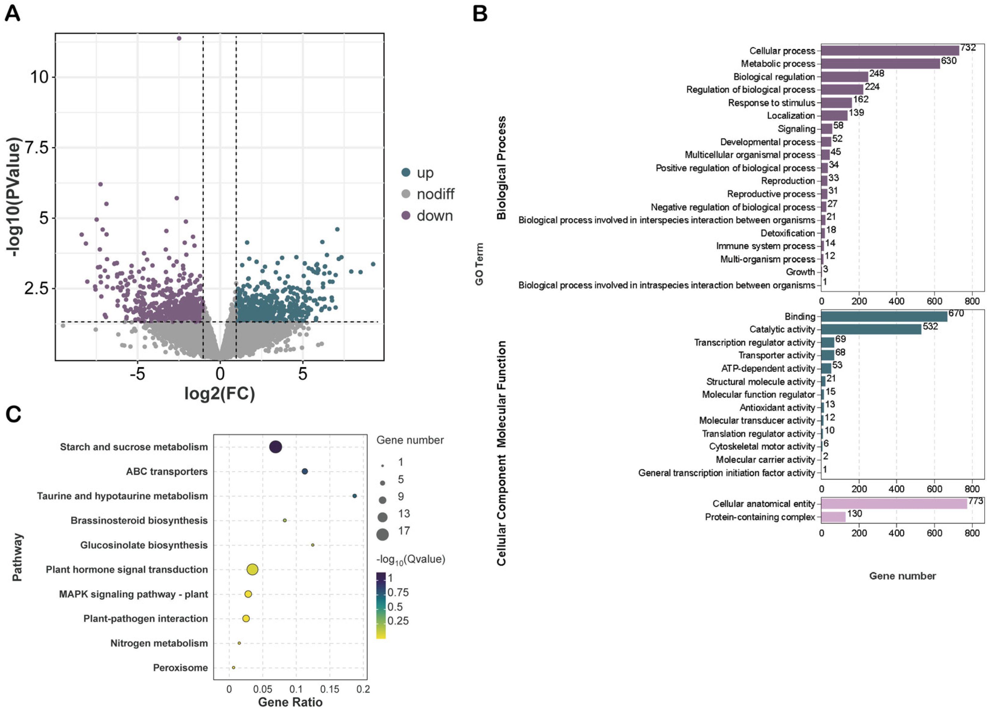 Plants 15 00036 g003