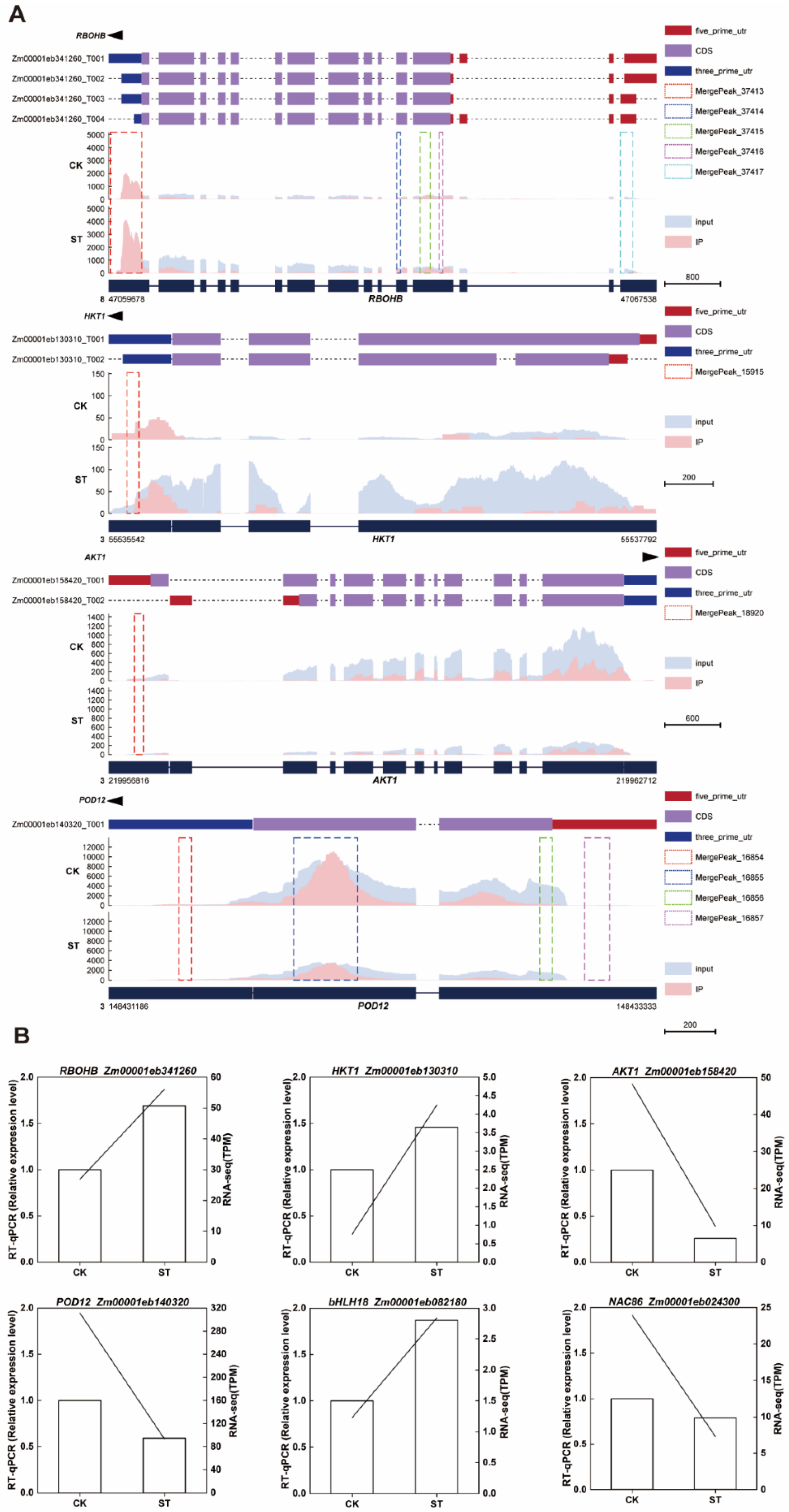 Plants 15 00036 g006