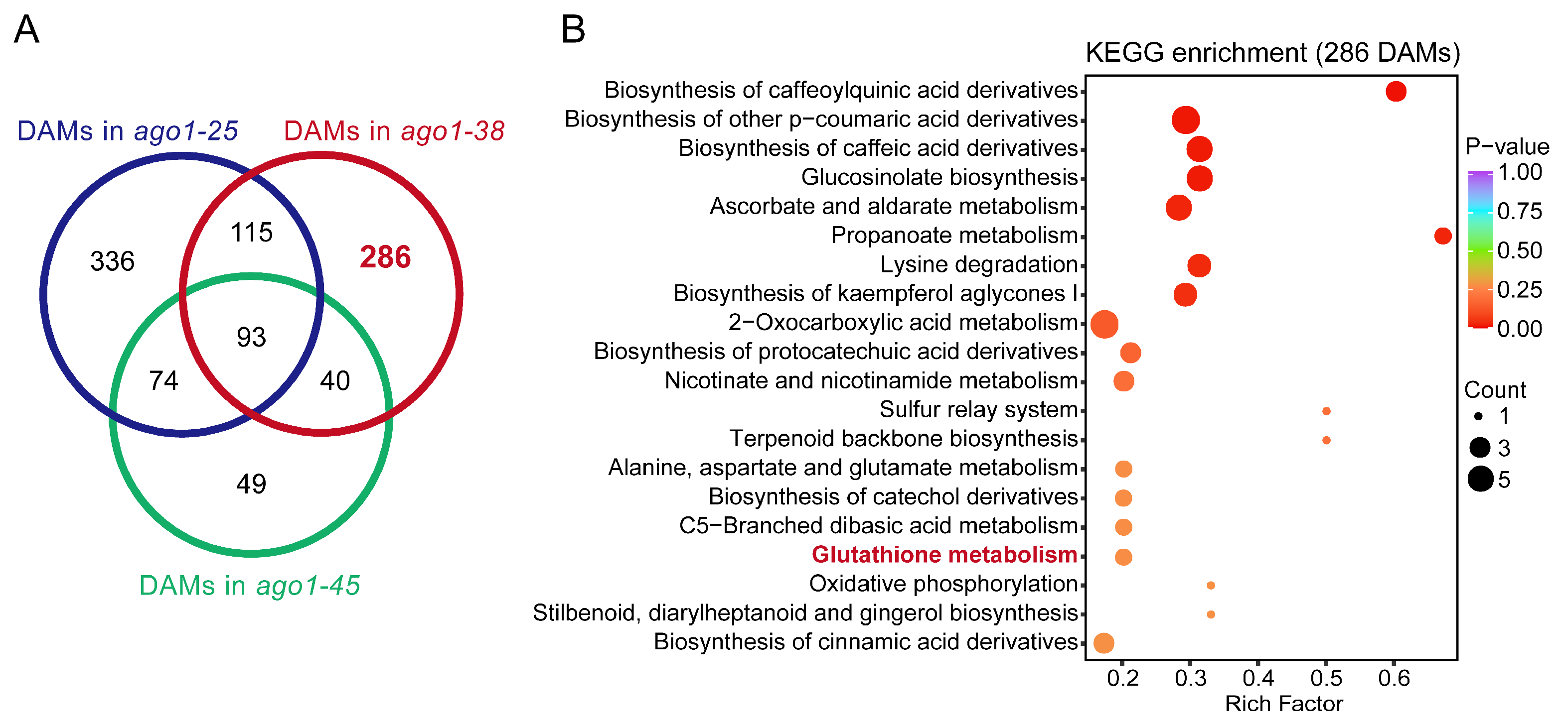 Plants 15 00044 g003