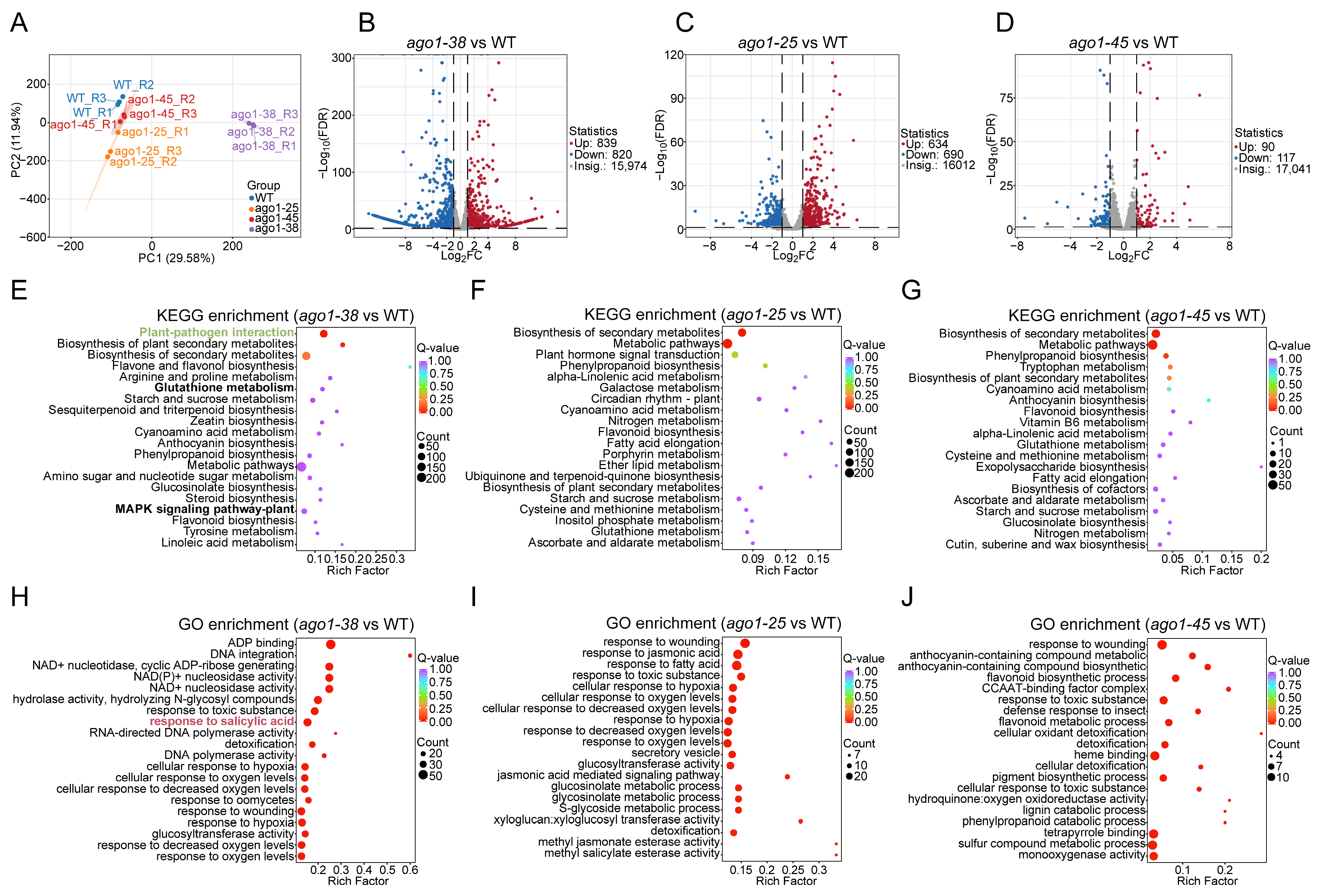 Plants 15 00044 g004