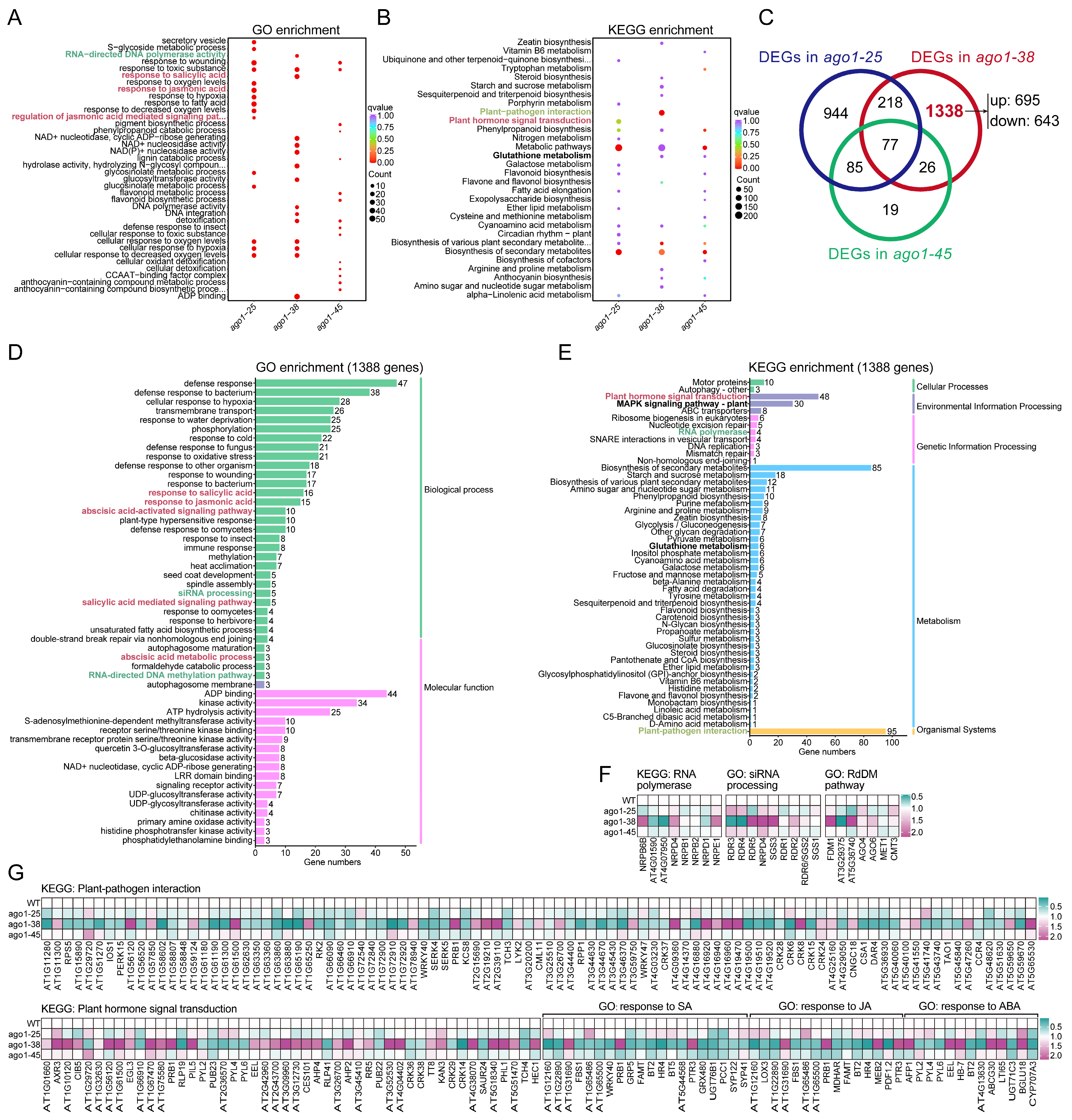 Plants 15 00044 g005