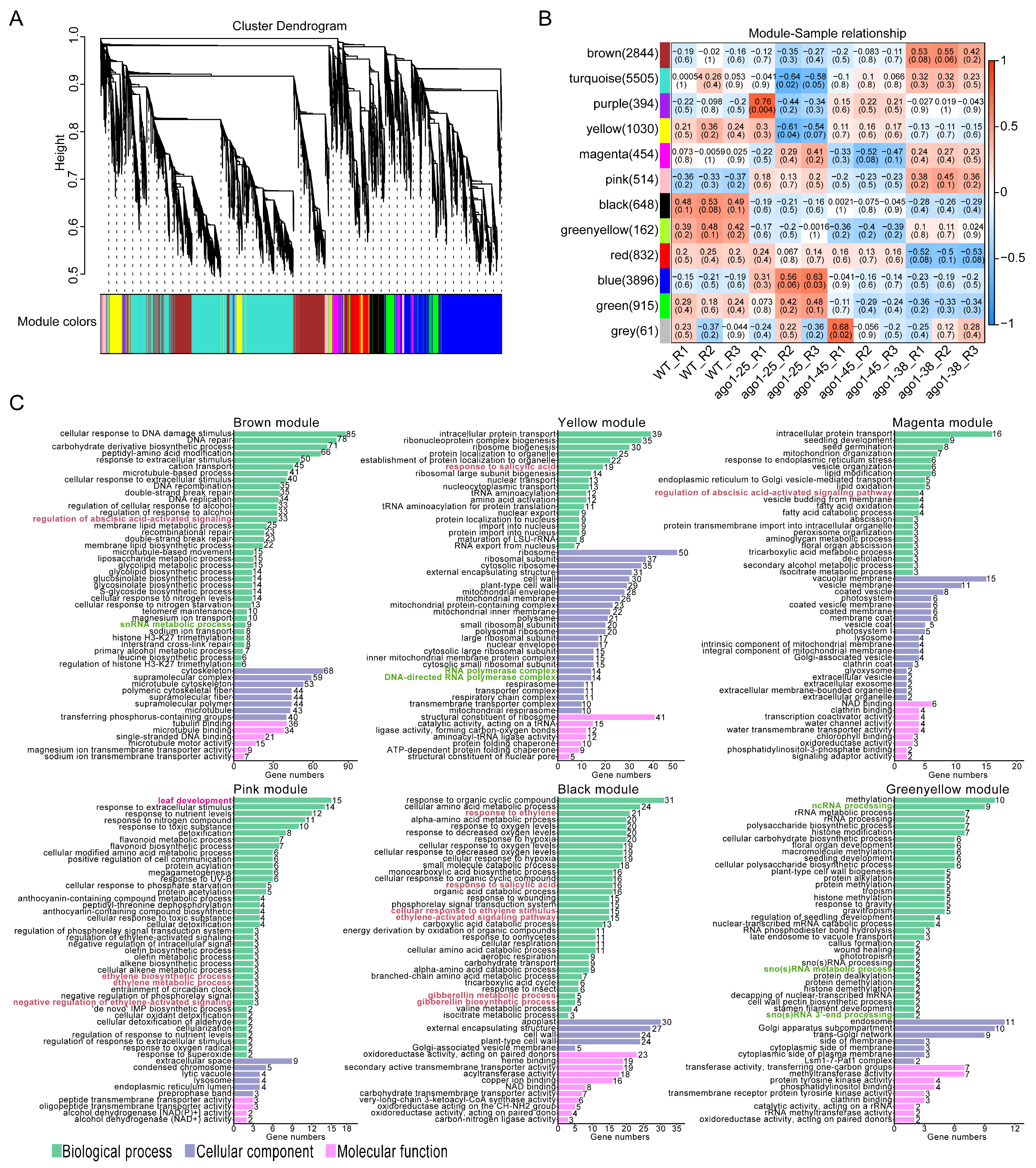Plants 15 00044 g006