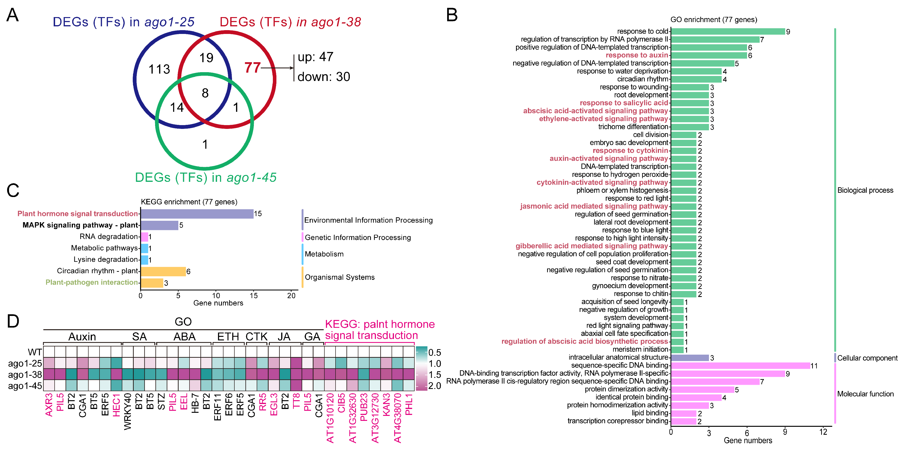 Plants 15 00044 g007