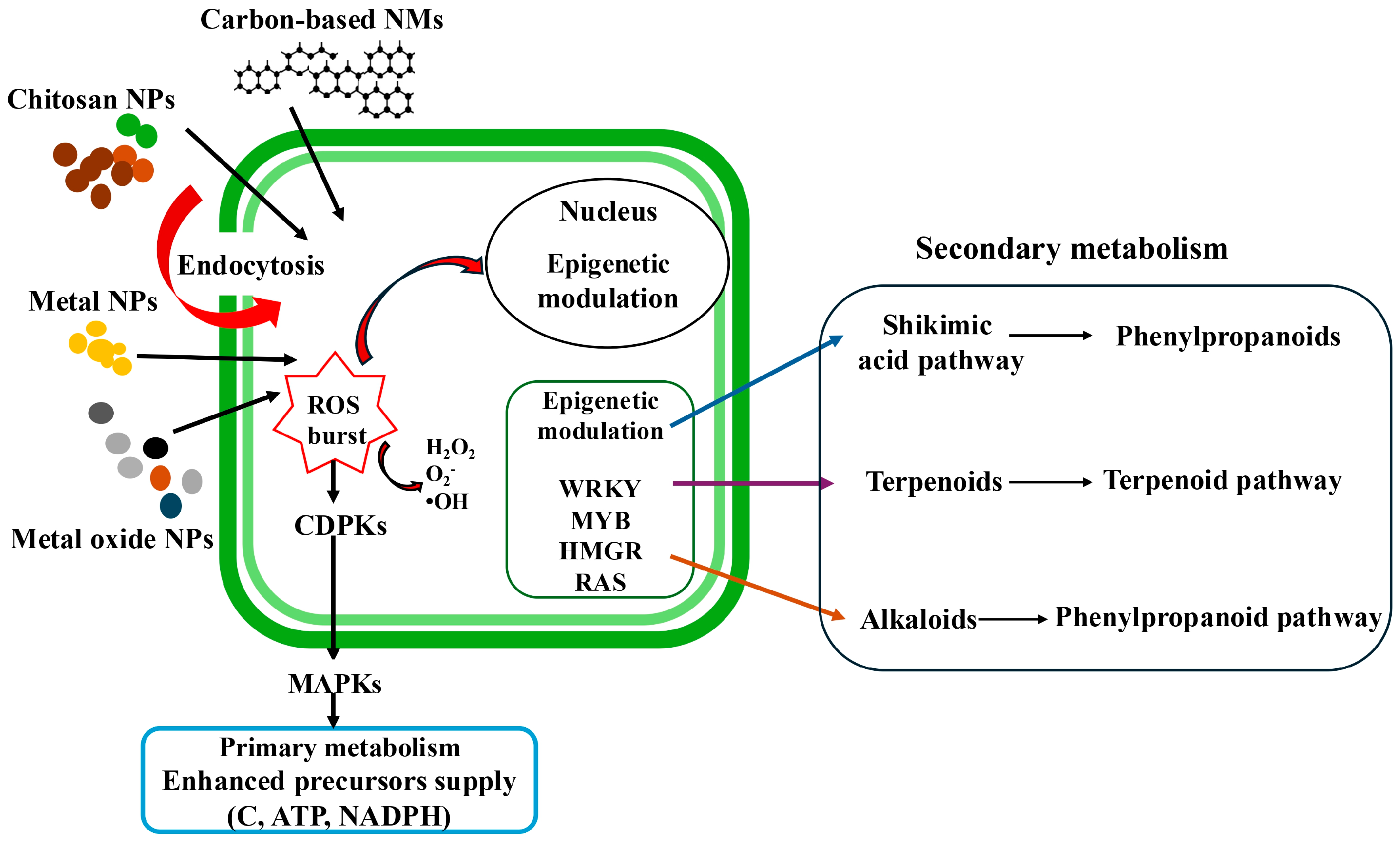 Plants 15 00046 g002