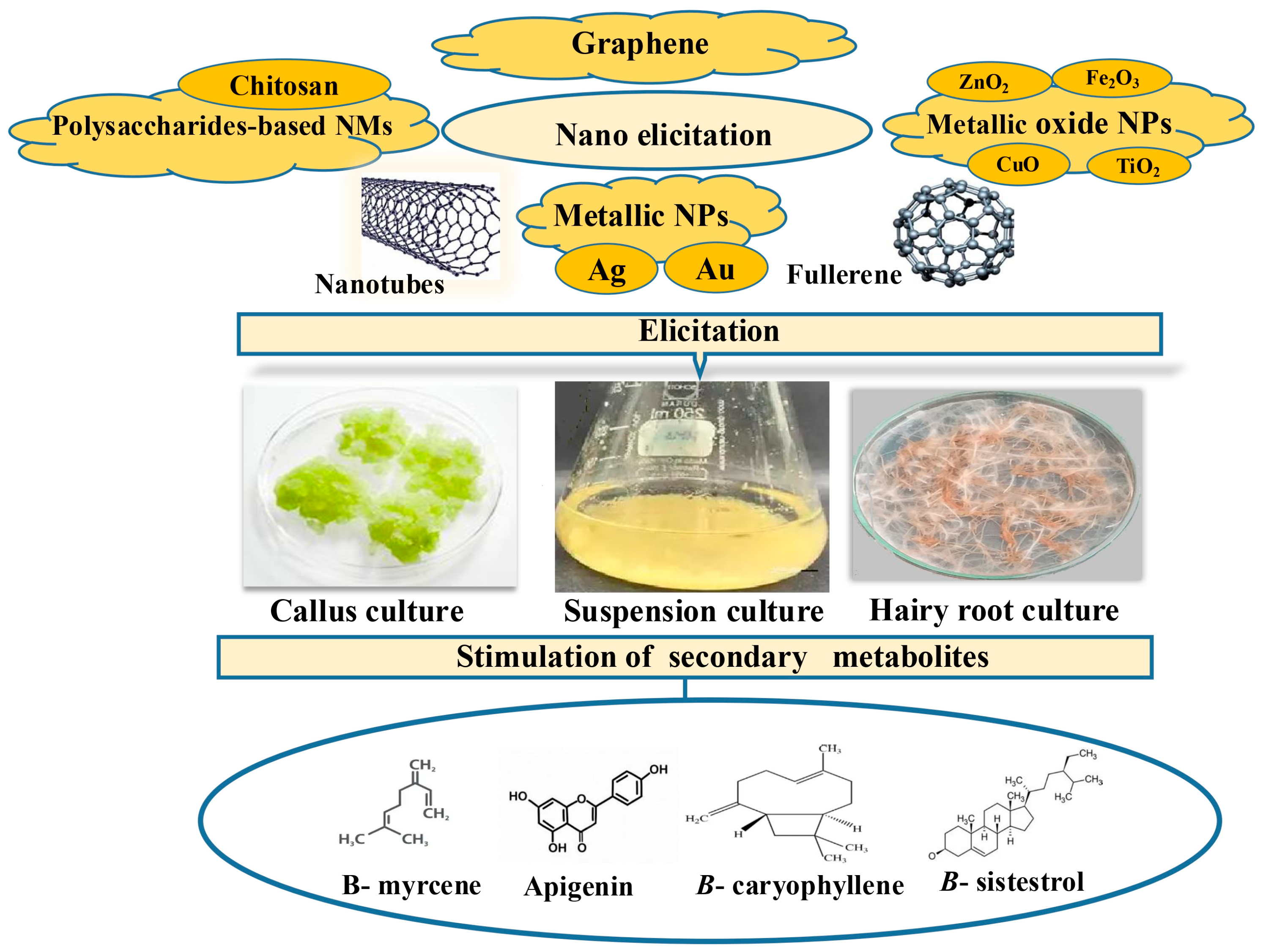 Plants 15 00046 g003